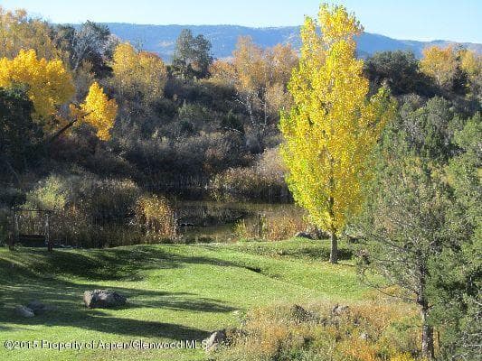 14843 59 1/2 Road, Collbran, CO 81624 - Photo 34