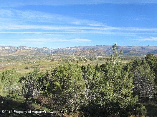 14843 59 1/2 Road, Collbran, CO 81624 - Photo 35