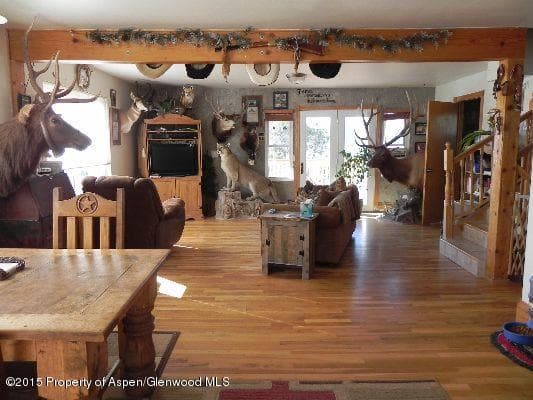 14843 59 1/2 Road, Collbran, CO 81624 - Photo 38