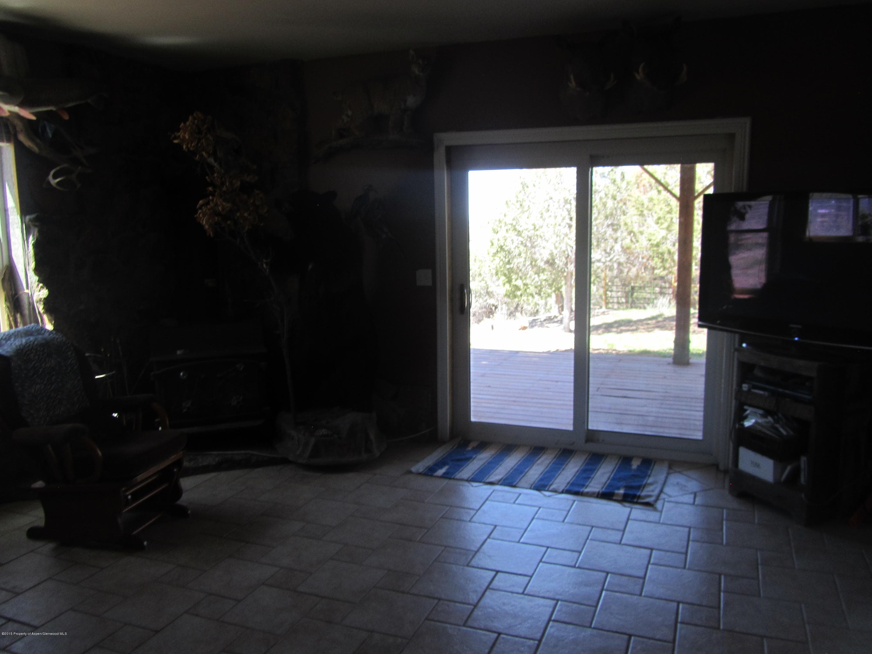 14843 59 1/2 Road, Collbran, CO 81624 - Photo 40