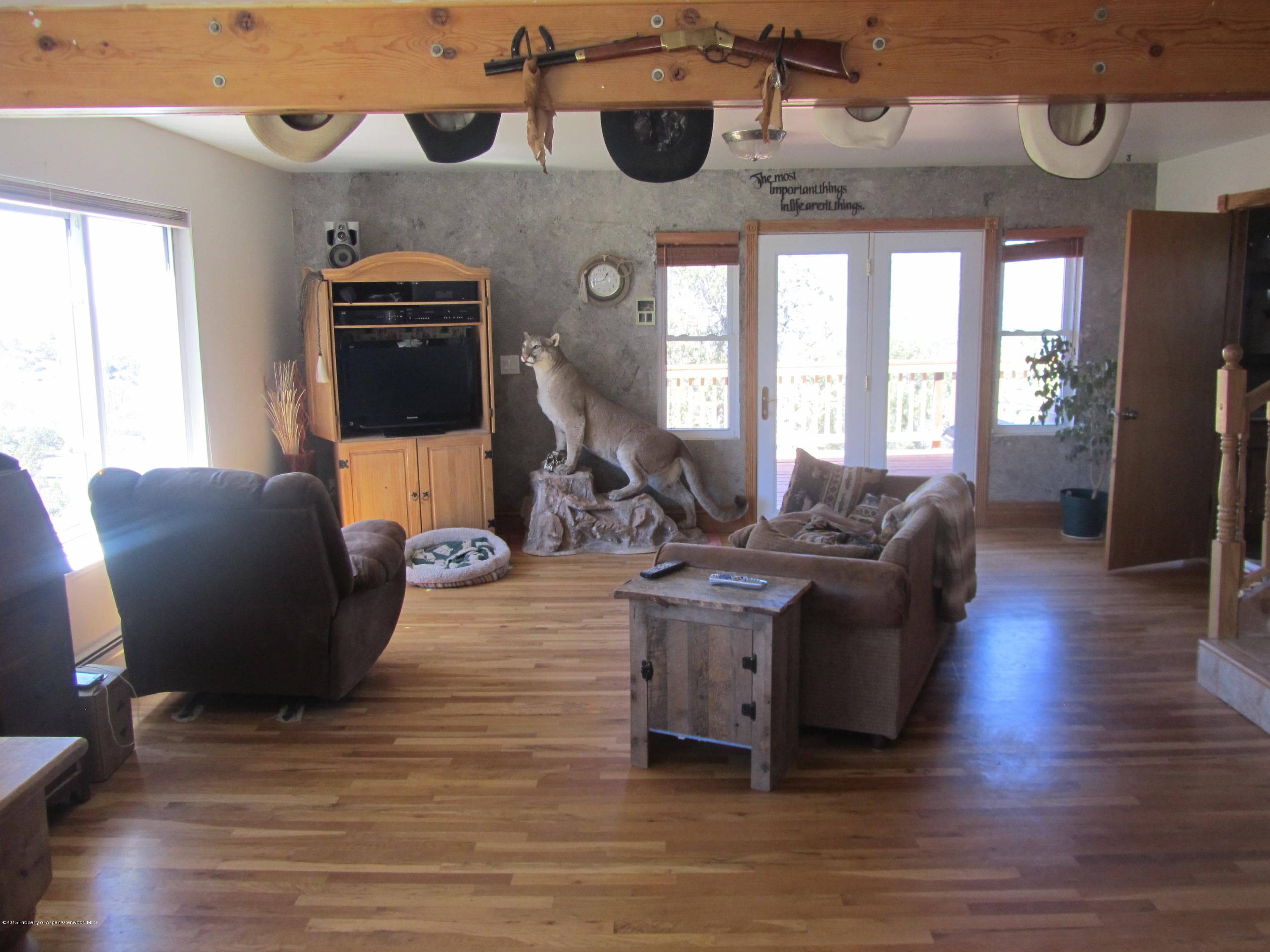 14843 59 1/2 Road, Collbran, CO 81624 - Photo 41
