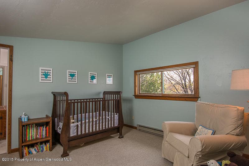 321 Fawn Drive, Carbondale, CO 81623 - Photo 8