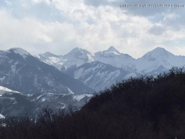 4000 Juniper Hill Road, Aspen, CO 81611 - Photo 12