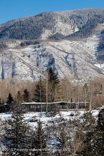 10 Maroon Drive, Aspen, CO 81611 - Photo 6
