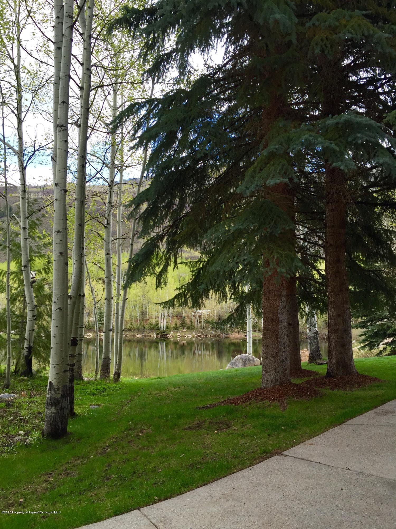 1430 Crystal Lake Road, Aspen, CO 81611 - Photo 13