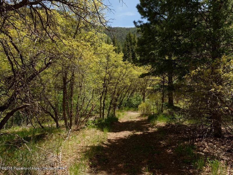 3006 Frying Pan Road, Basalt, CO 81621 - Photo 3