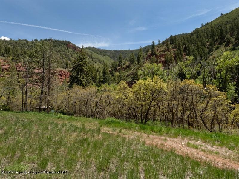 3006 Frying Pan Road, Basalt, CO 81621 - Photo 4