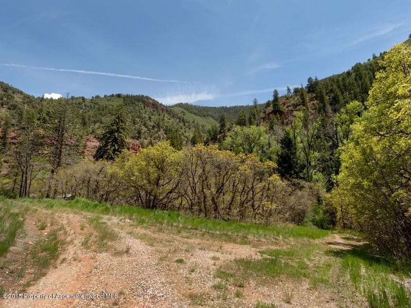 3006 Frying Pan Road, Basalt, CO 81621 - Photo 5