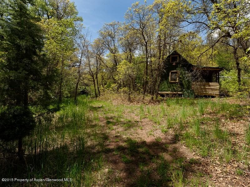 3006 Frying Pan Road, Basalt, CO 81621 - Photo 11