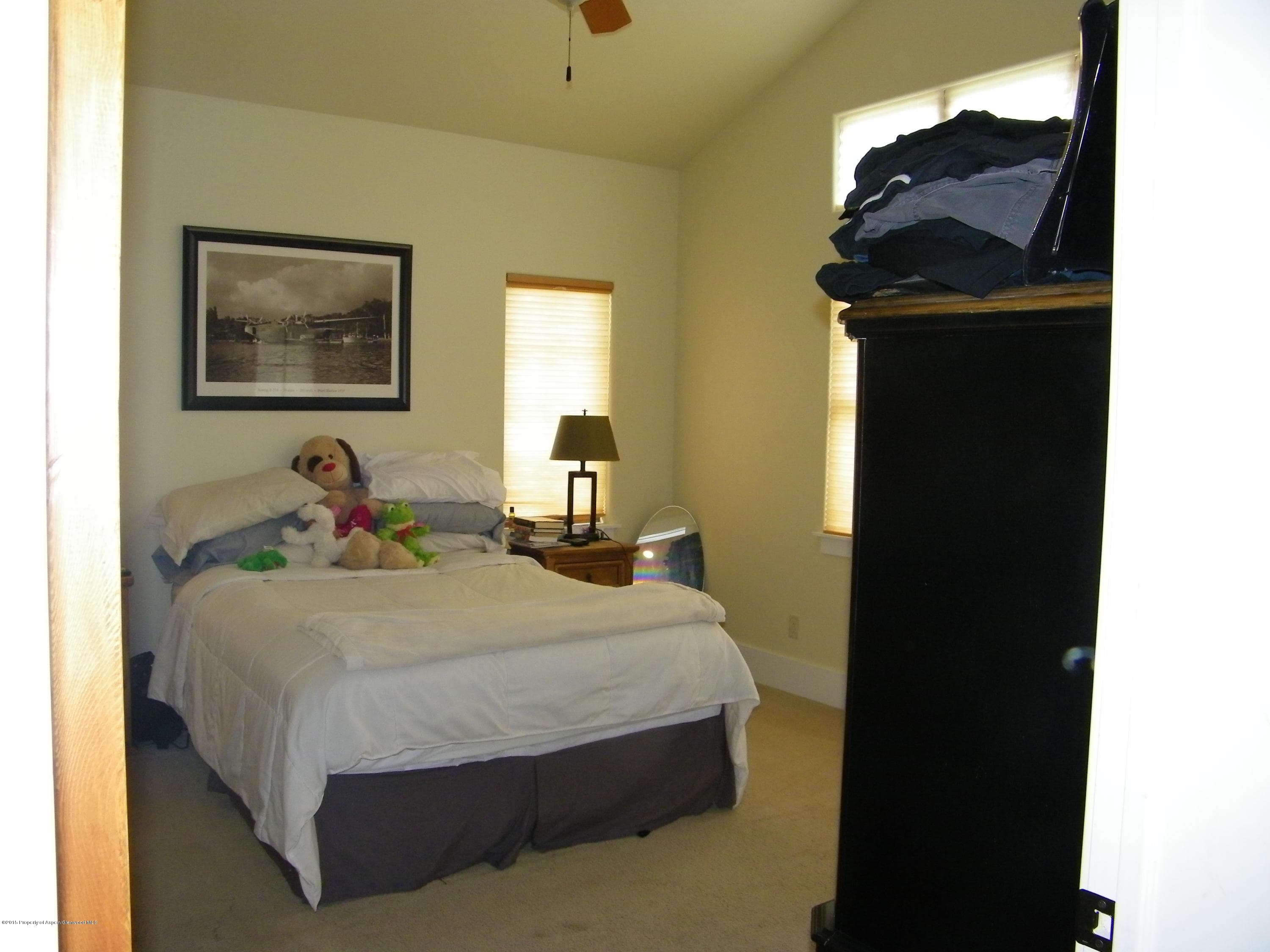 204 Blackhawk, New Castle, CO 81647 - Photo 5