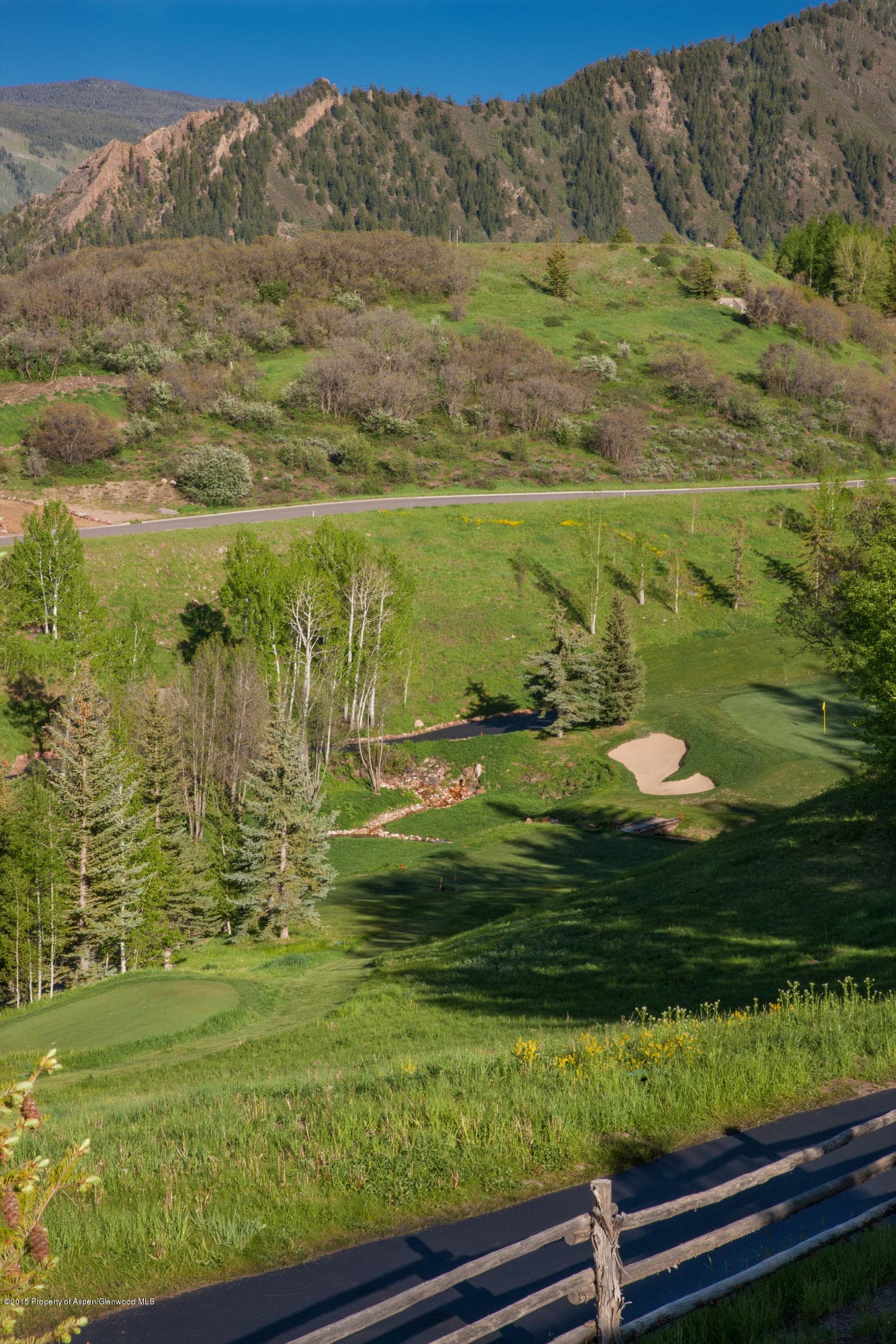 651 Pfister Dr., Aspen, CO 81611 - Photo 10