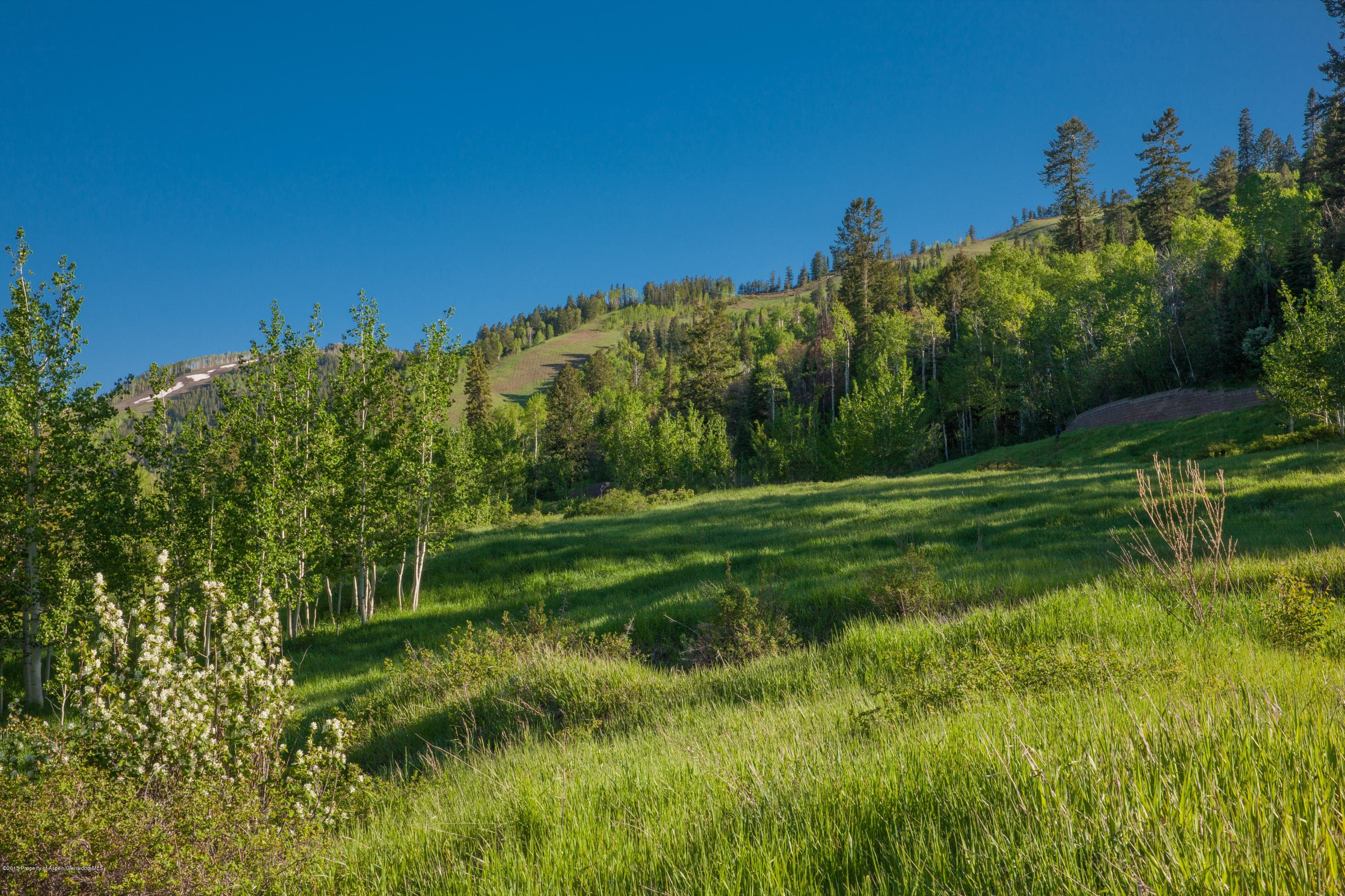 651 Pfister Dr., Aspen, CO 81611 - Photo 11