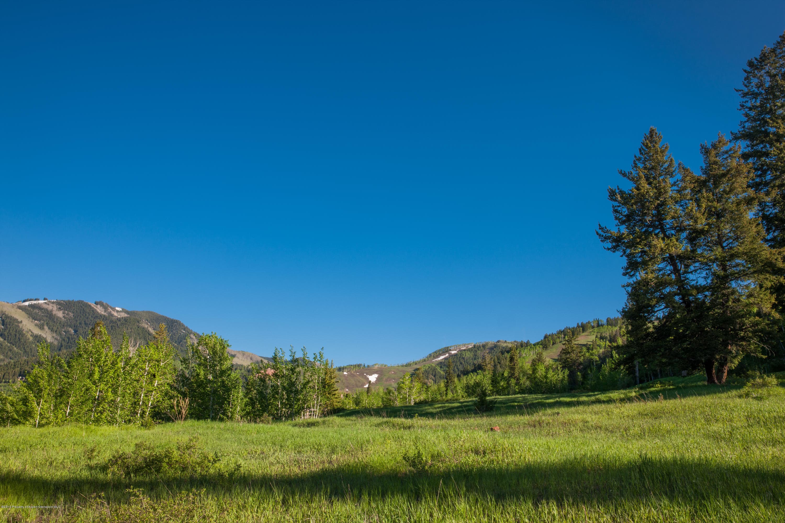 651 Pfister Dr., Aspen, CO 81611 - Photo 12