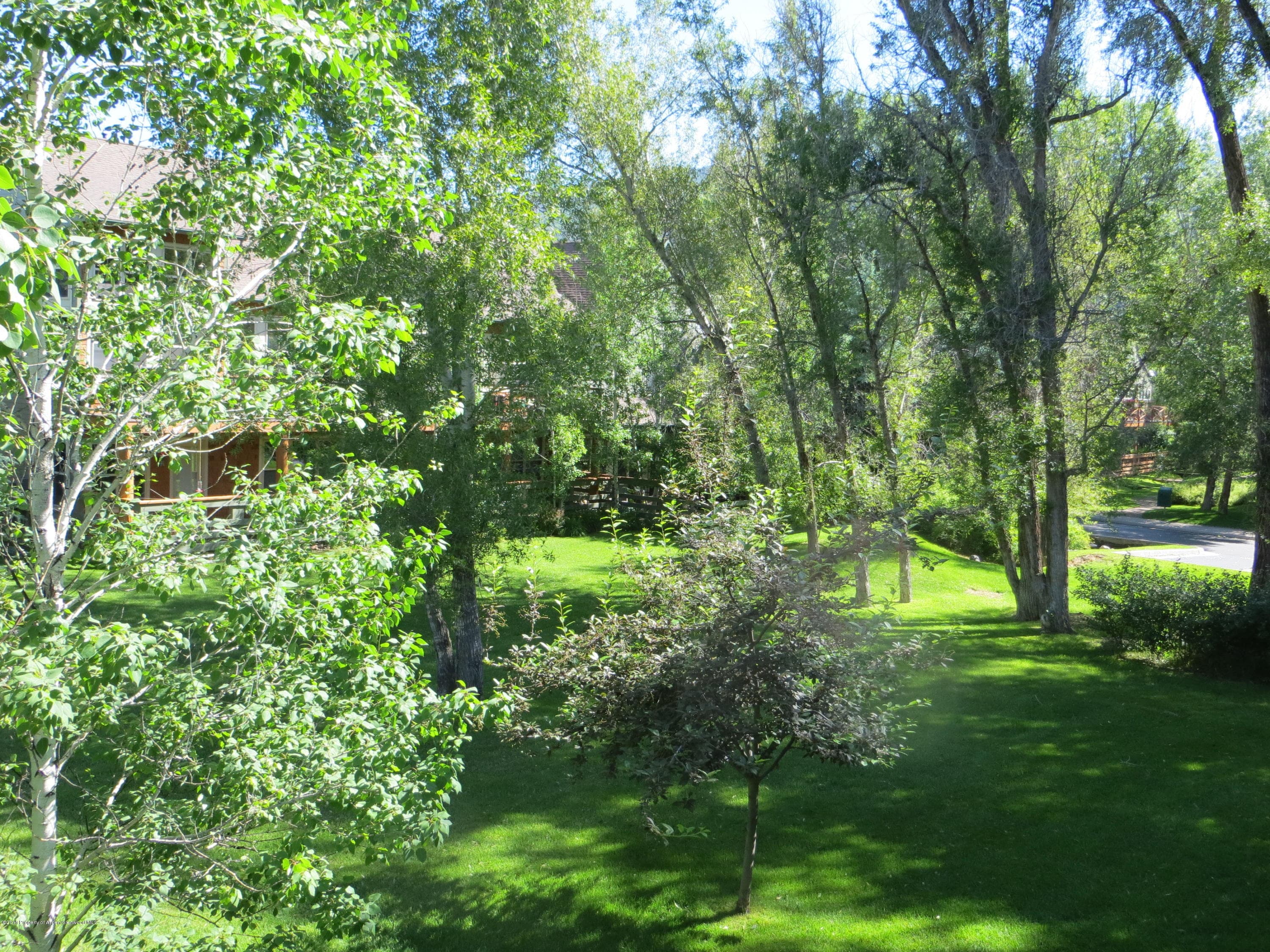 713 Evans Court, Basalt, CO 81621 - Photo 10