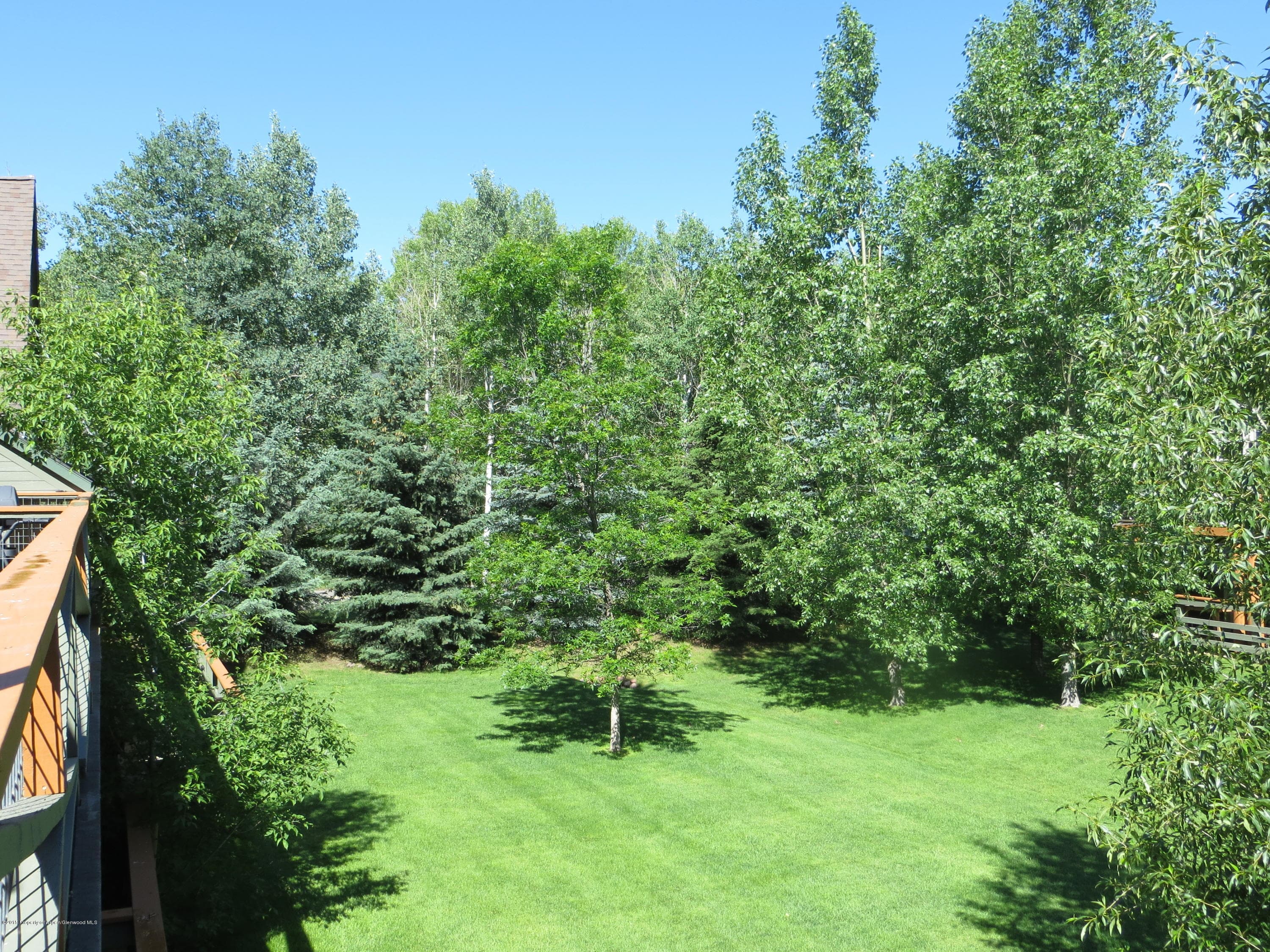 713 Evans Court, Basalt, CO 81621 - Photo 11