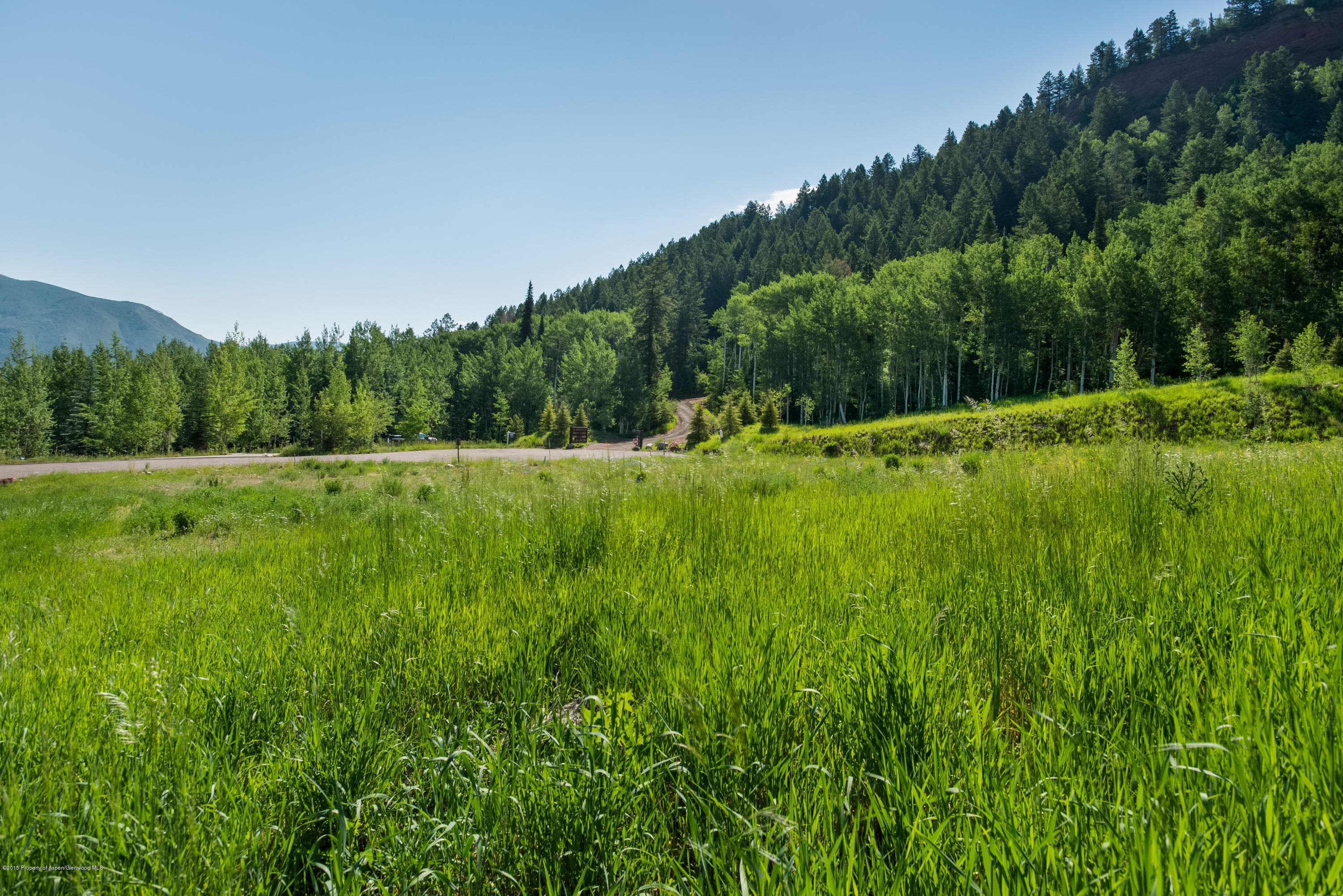 395 Thunderbowl Lane, Aspen, CO 81611 - Photo 13