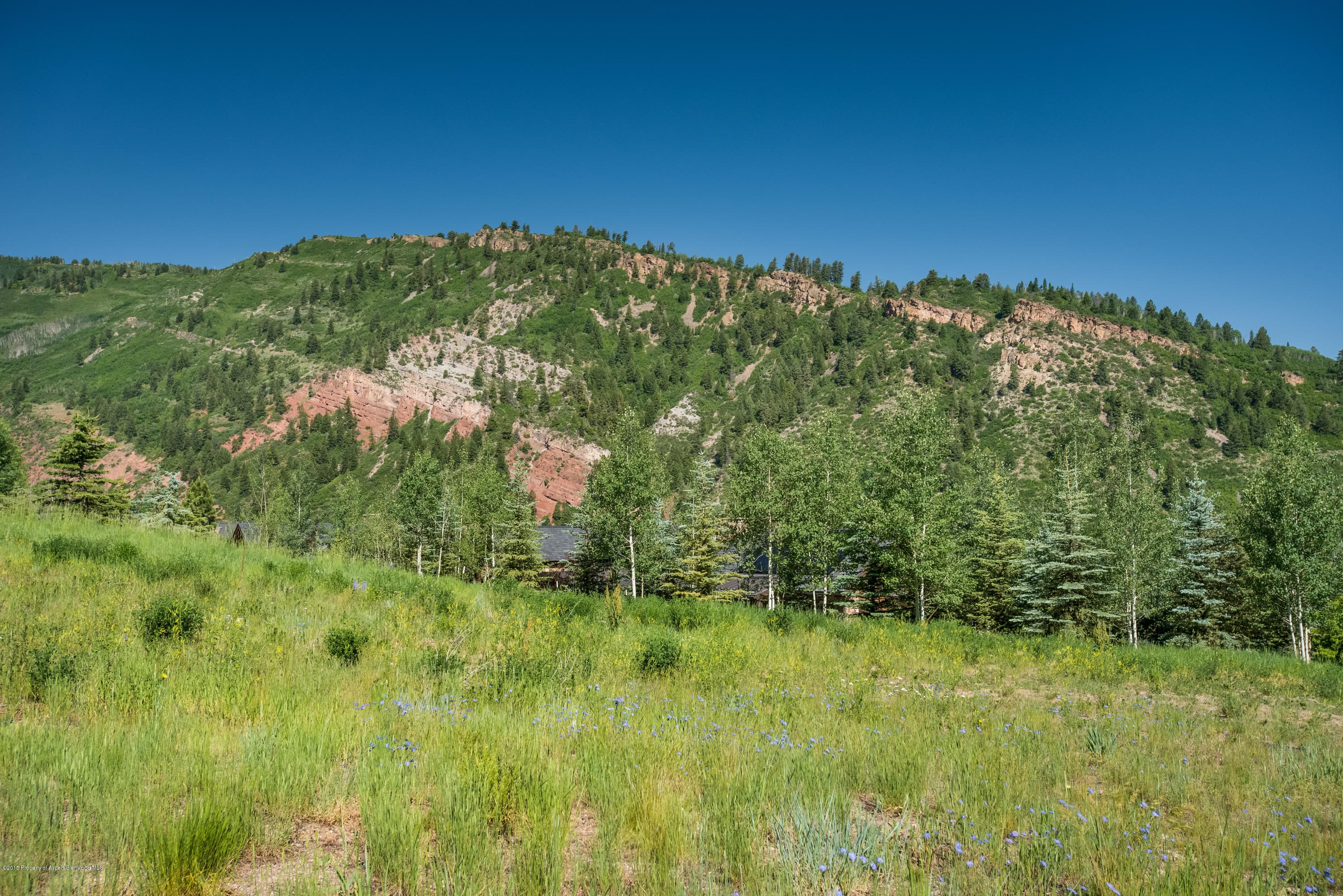 395 Thunderbowl Lane, Aspen, CO 81611 - Photo 17