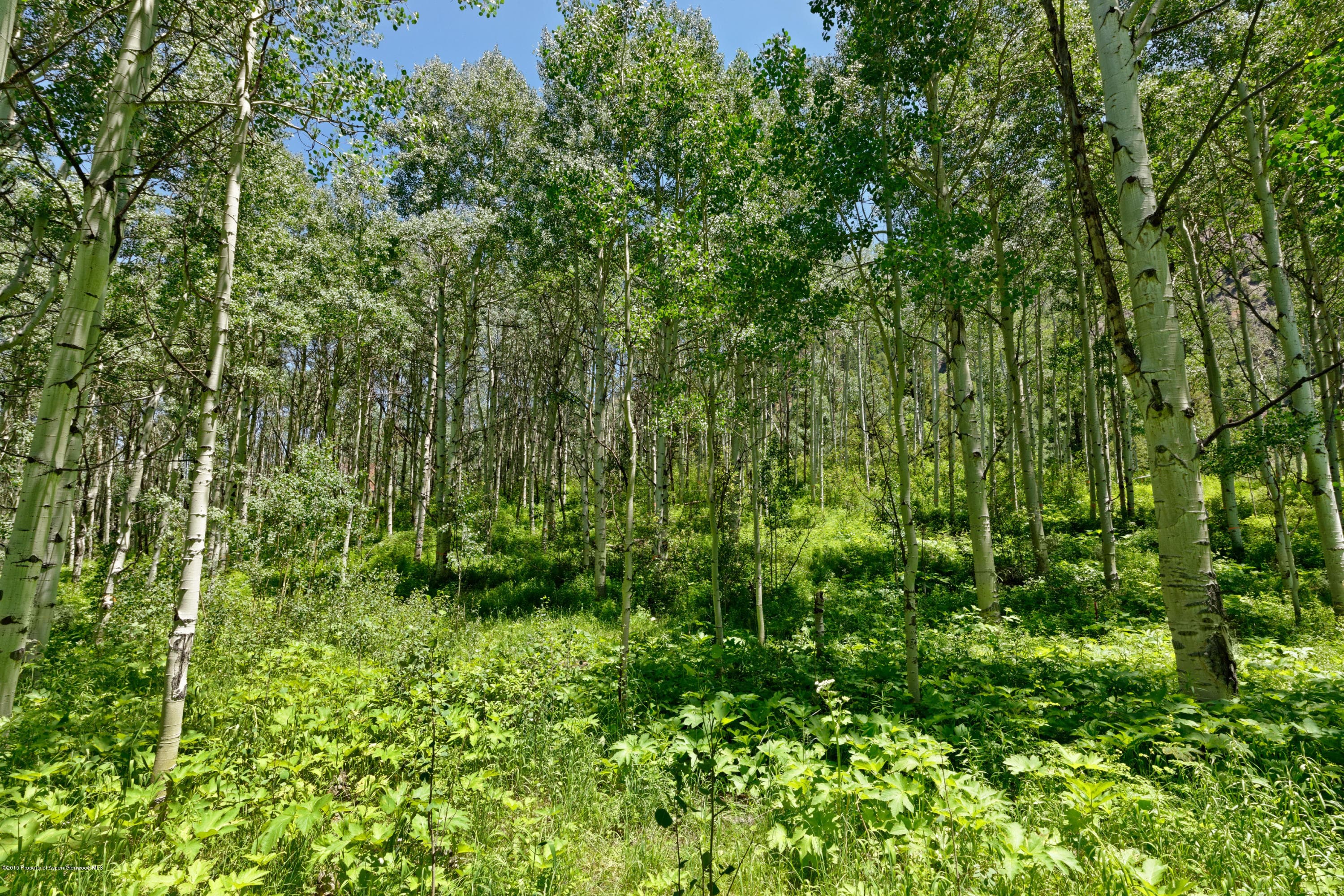 Tbd S Hayden Road, Aspen, CO 81611 - Photo 6