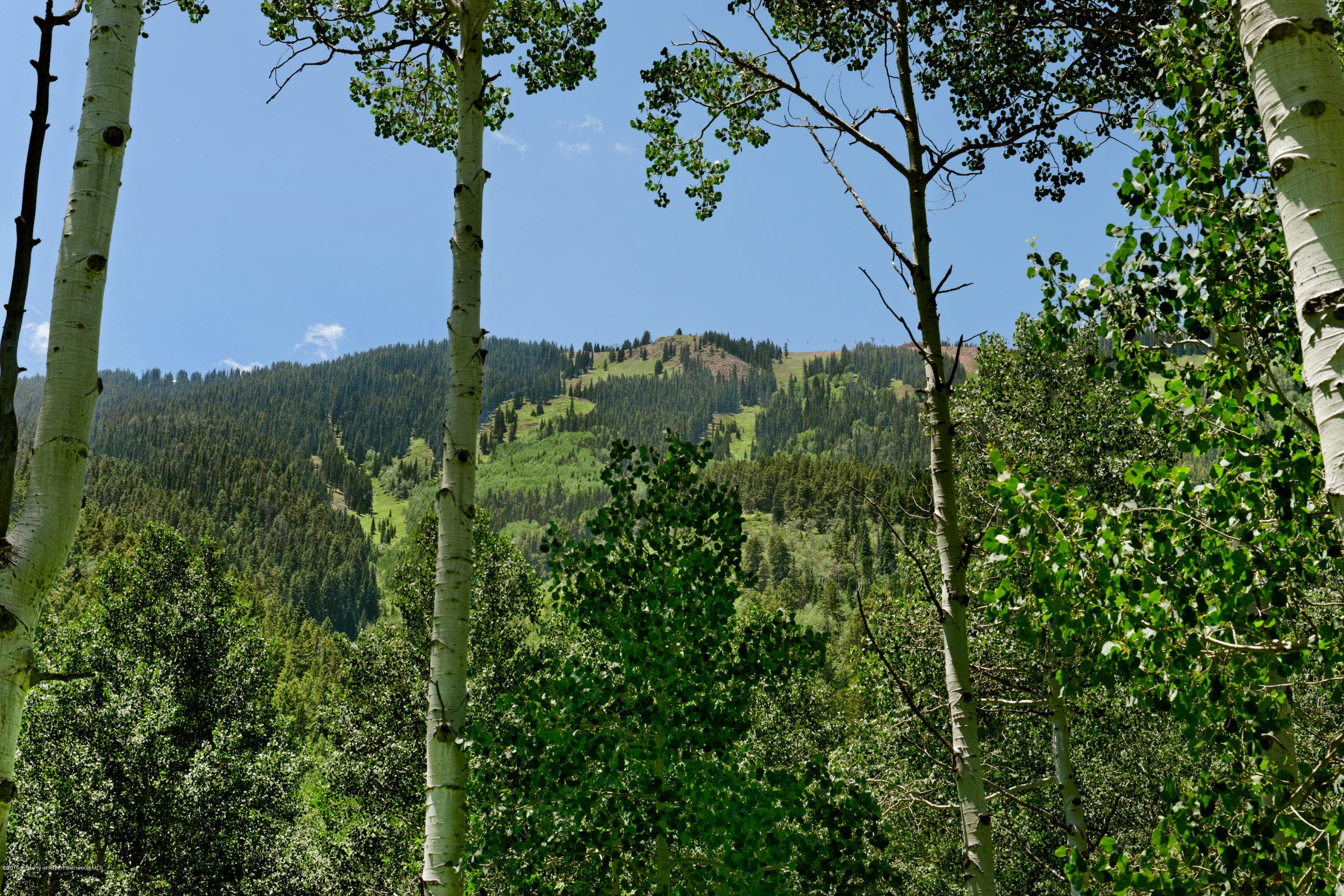 Tbd S Hayden Road, Aspen, CO 81611 - Photo 3