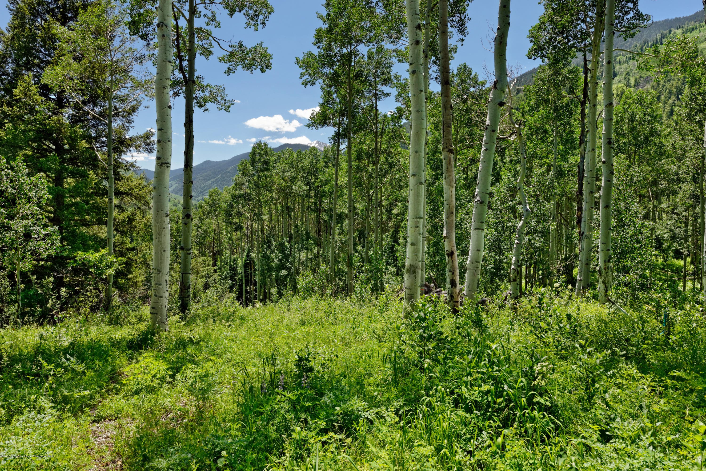 Tbd S Hayden Road, Aspen, CO 81611 - Photo 8