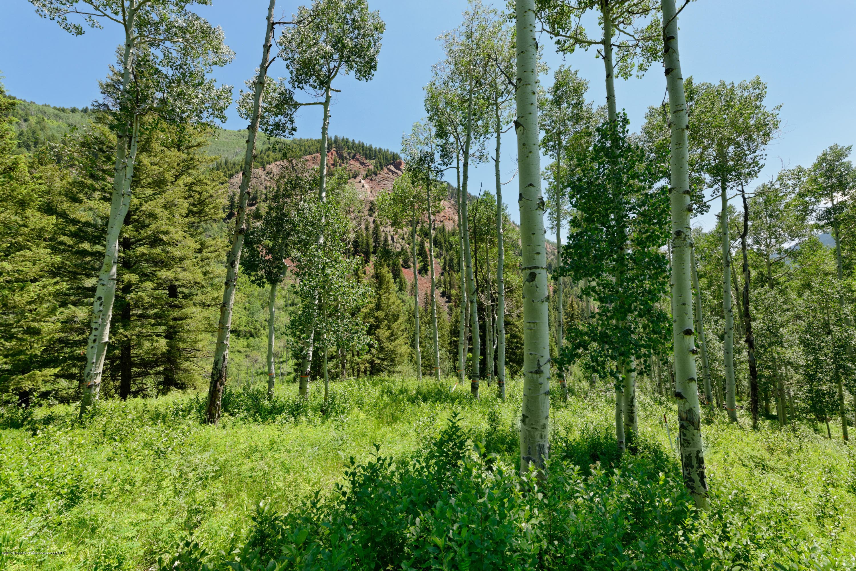 Tbd S Hayden Road, Aspen, CO 81611 - Photo 9