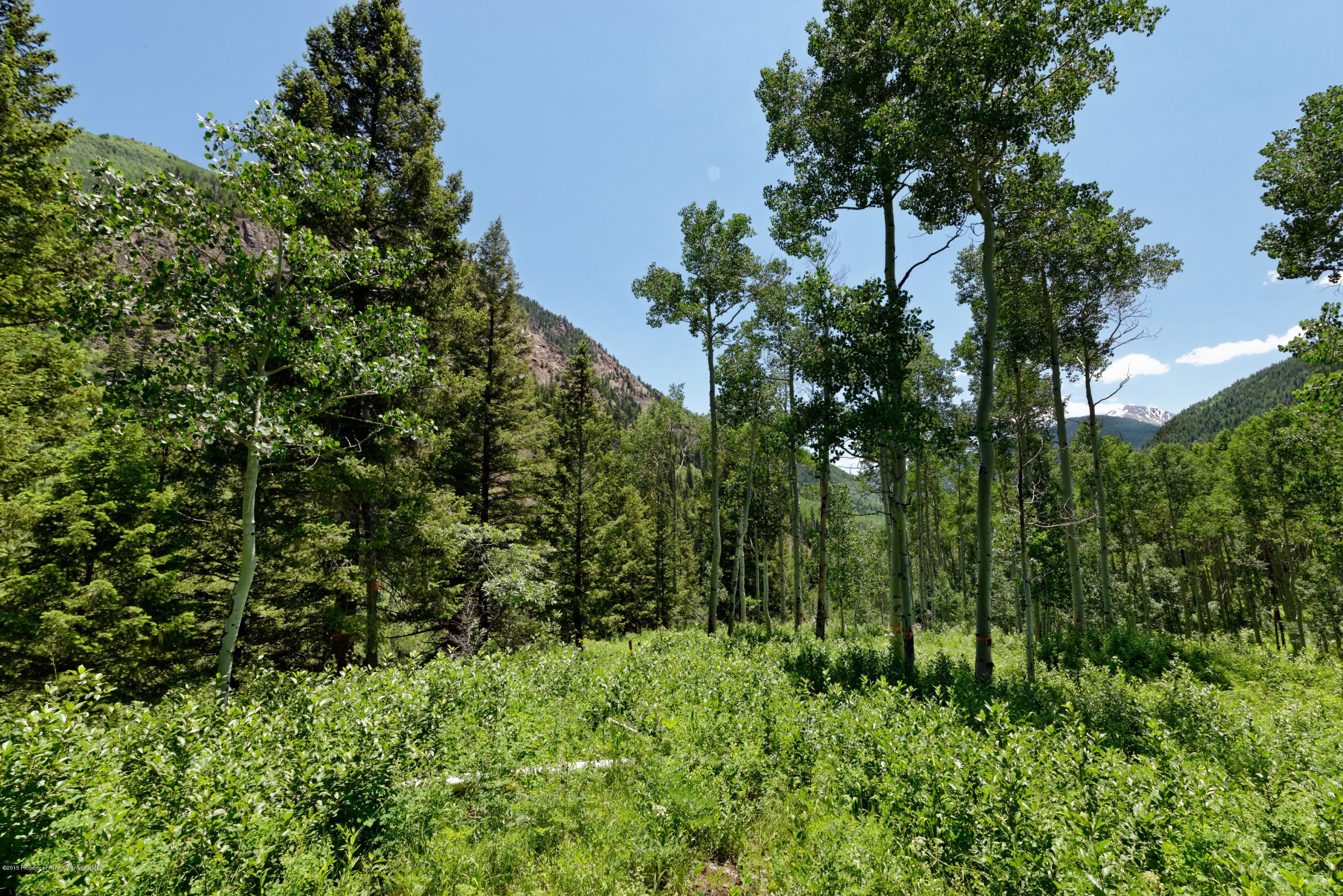 Tbd S Hayden Road, Aspen, CO 81611 - Photo 10