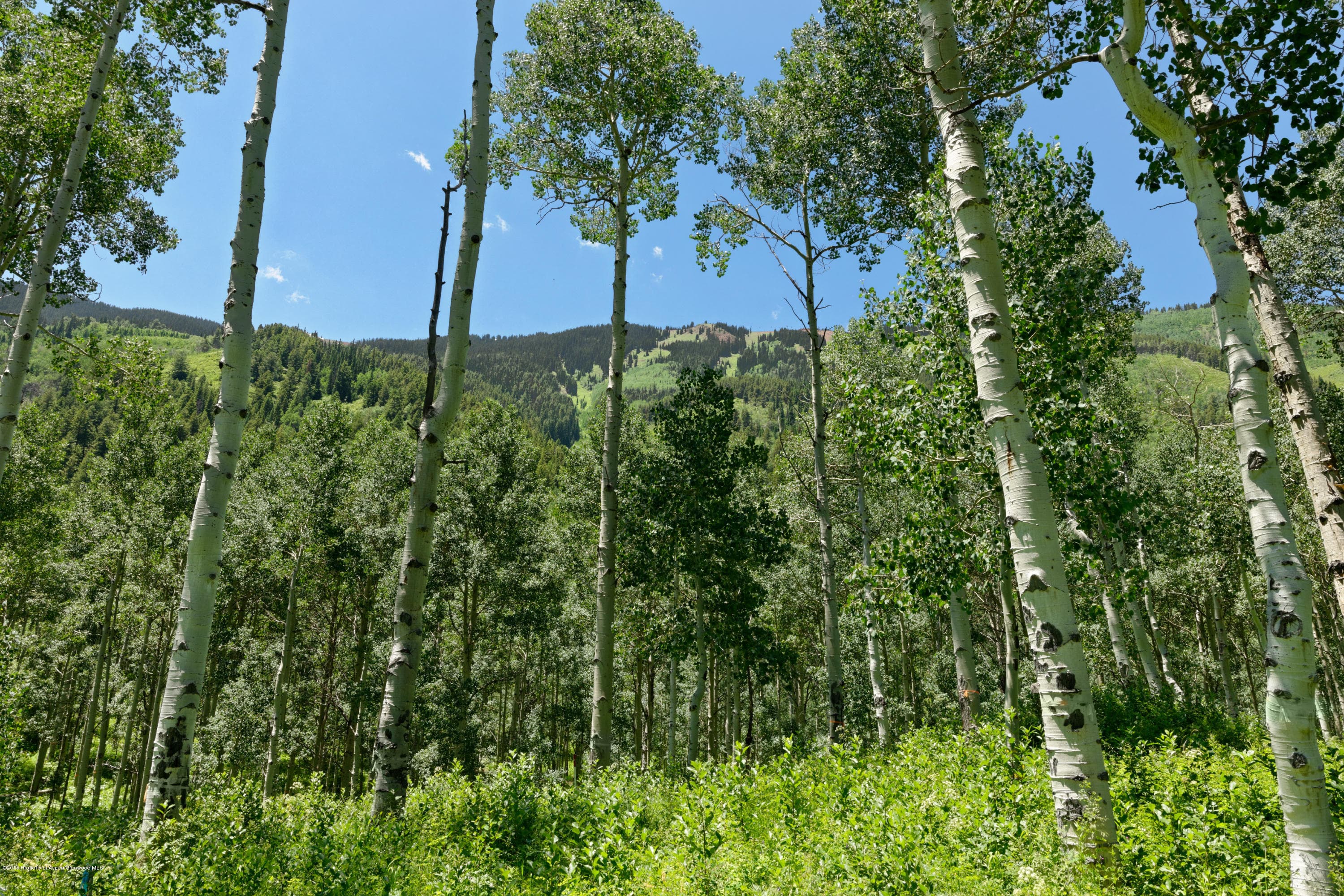Tbd S Hayden Road, Aspen, CO 81611 - Photo 11