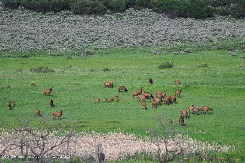 Tbd Spring Park Ranch Road, Carbondale, CO 81623 - Photo 15