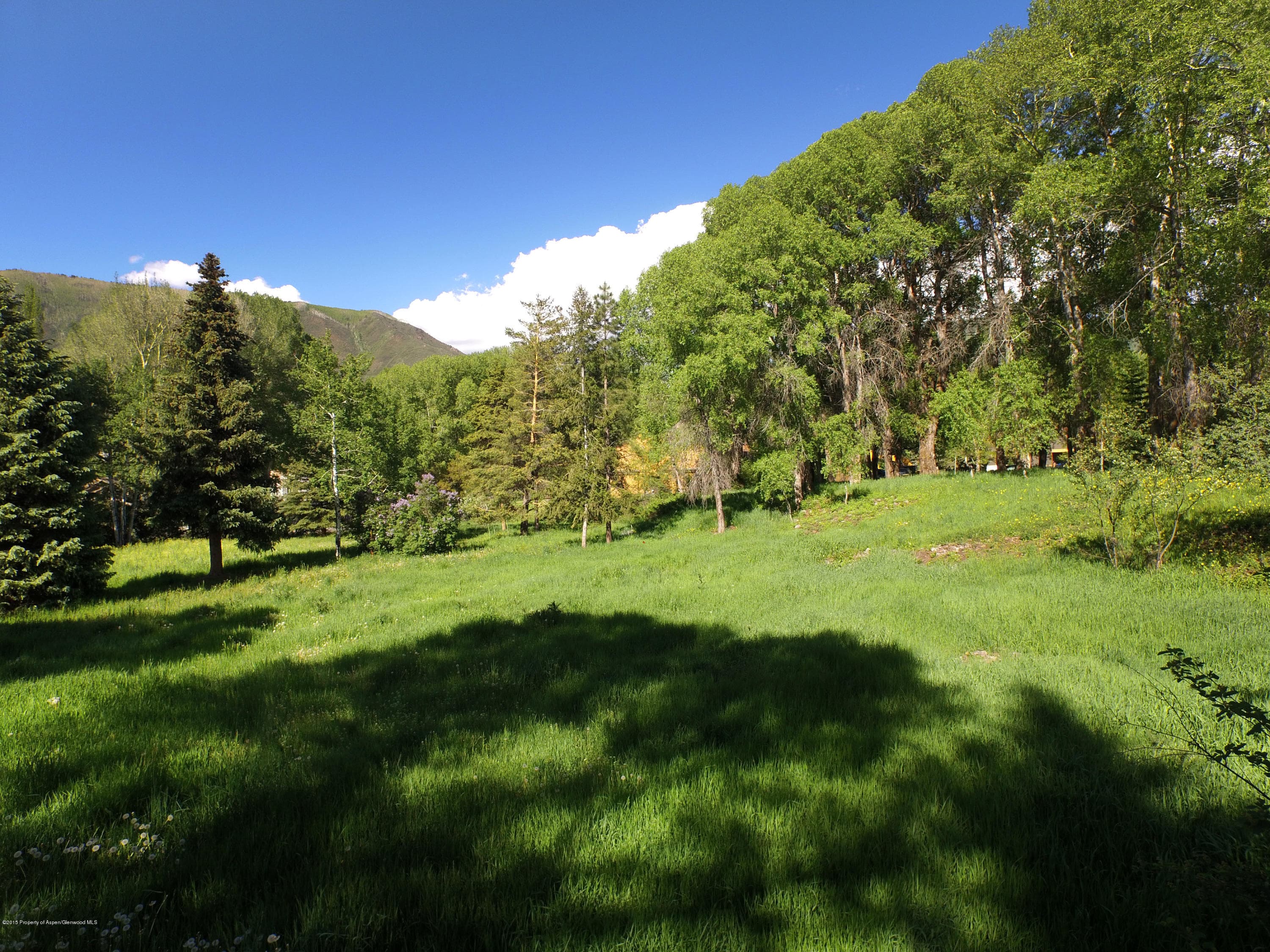 Tbd Eighth Street Lot 4, Aspen, CO 81611 - Photo 5