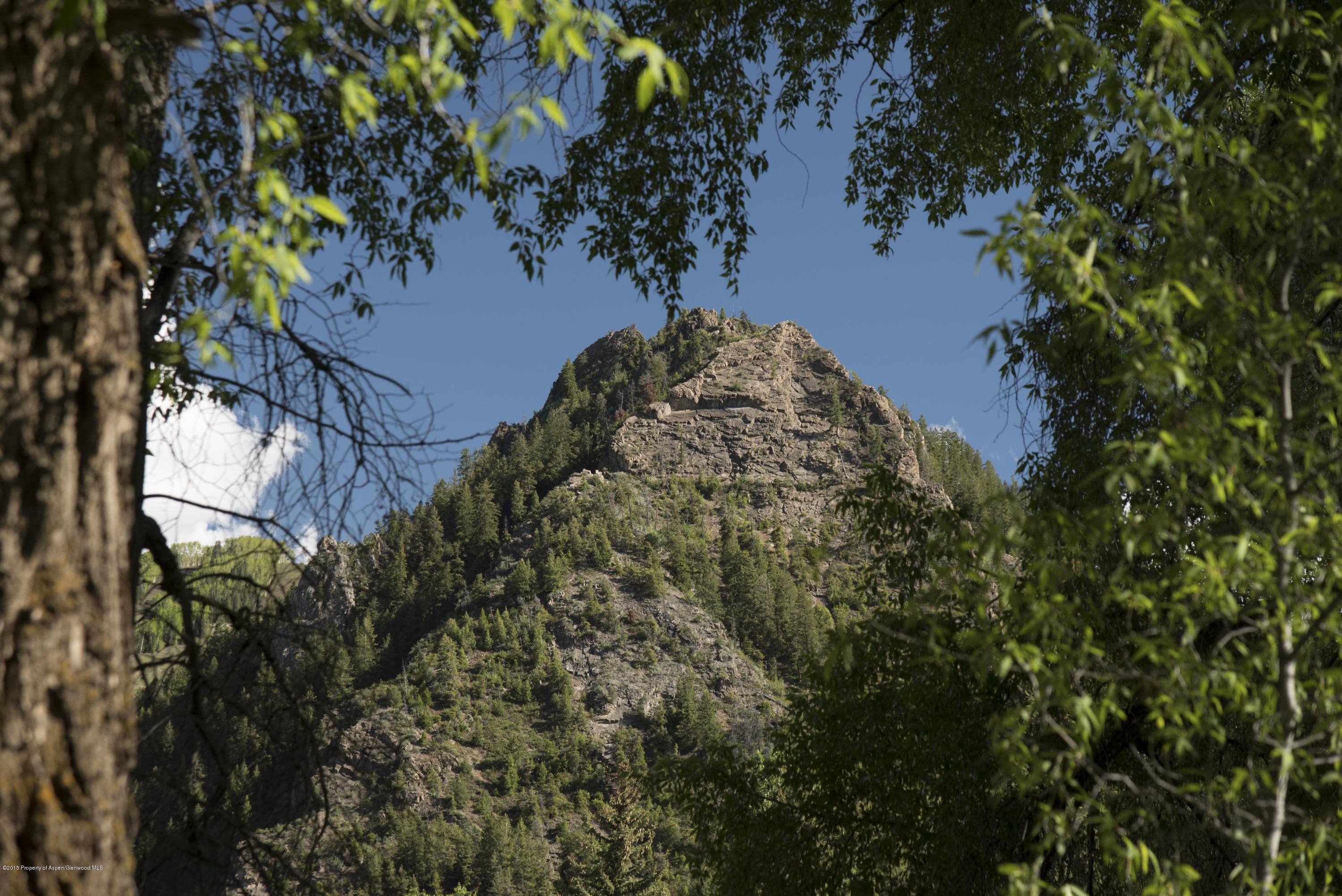 Tbd Eighth Street Lot 4, Aspen, CO 81611 - Photo 14