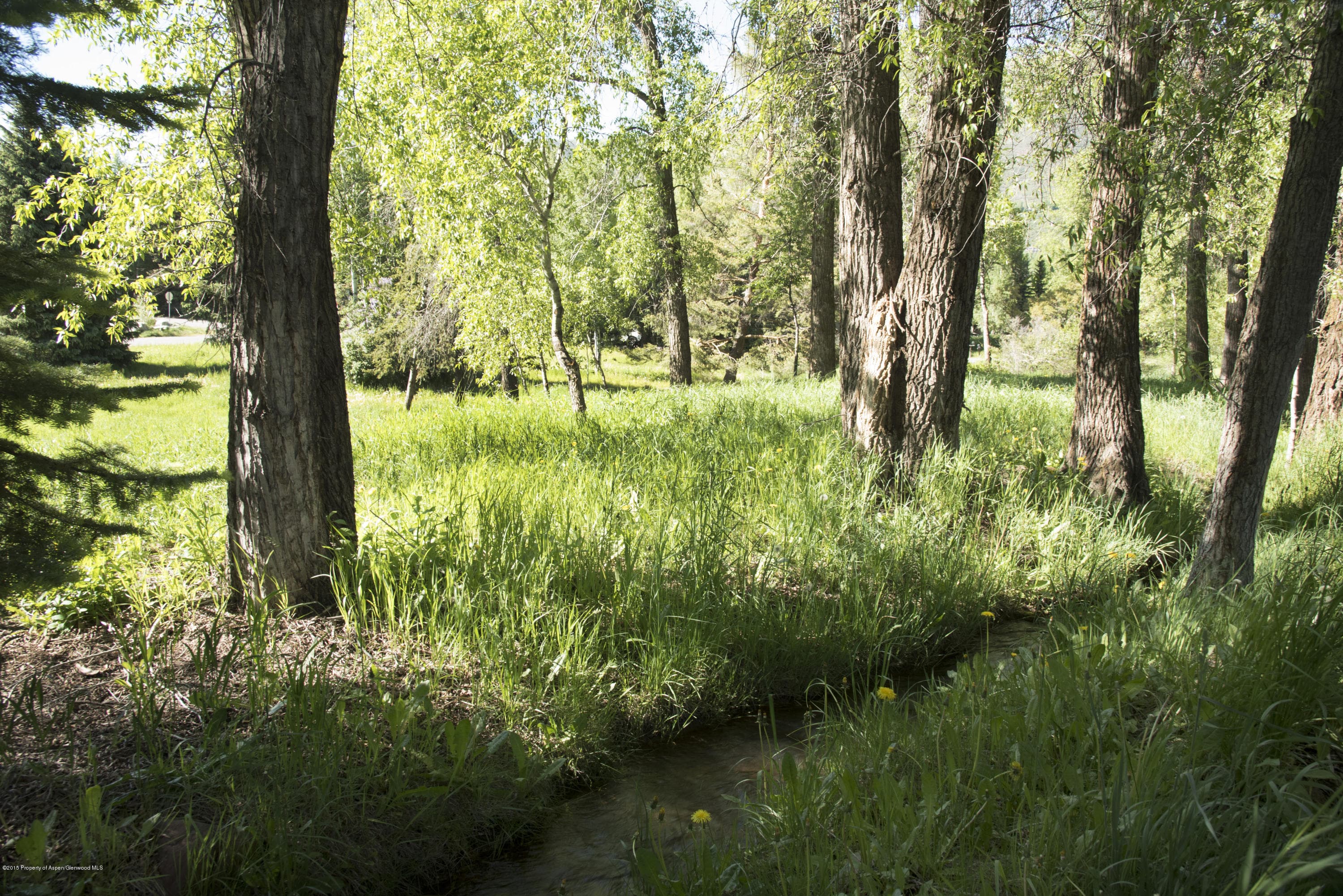 Tbd Eighth Street Lot 4, Aspen, CO 81611 - Photo 18