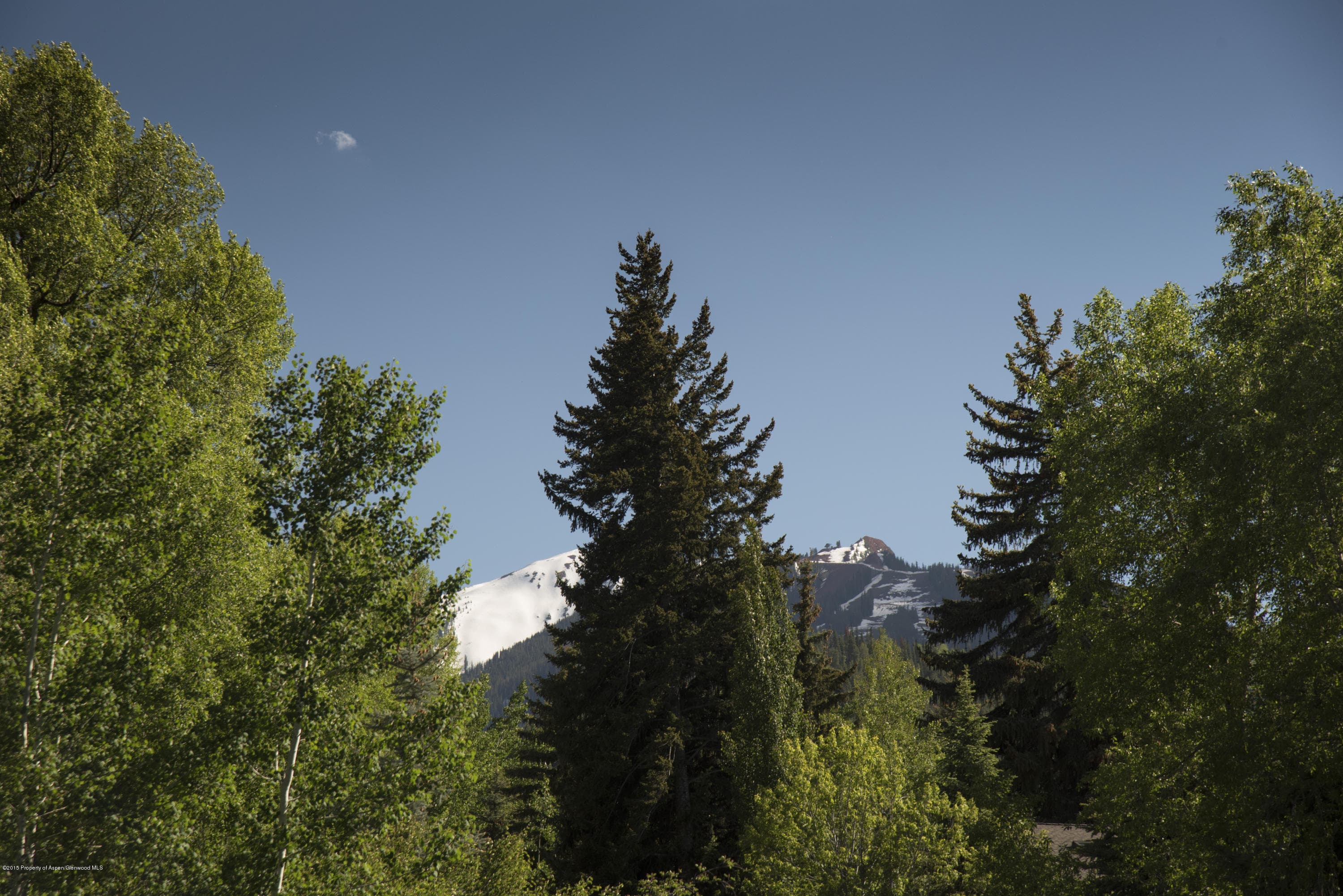Tbd Eighth Street Lot 5, Aspen, CO 81611 - Photo 13