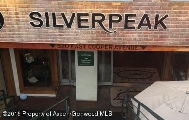 520 E Cooper Avenue Rb-1, Aspen, CO 81611 - Photo 12