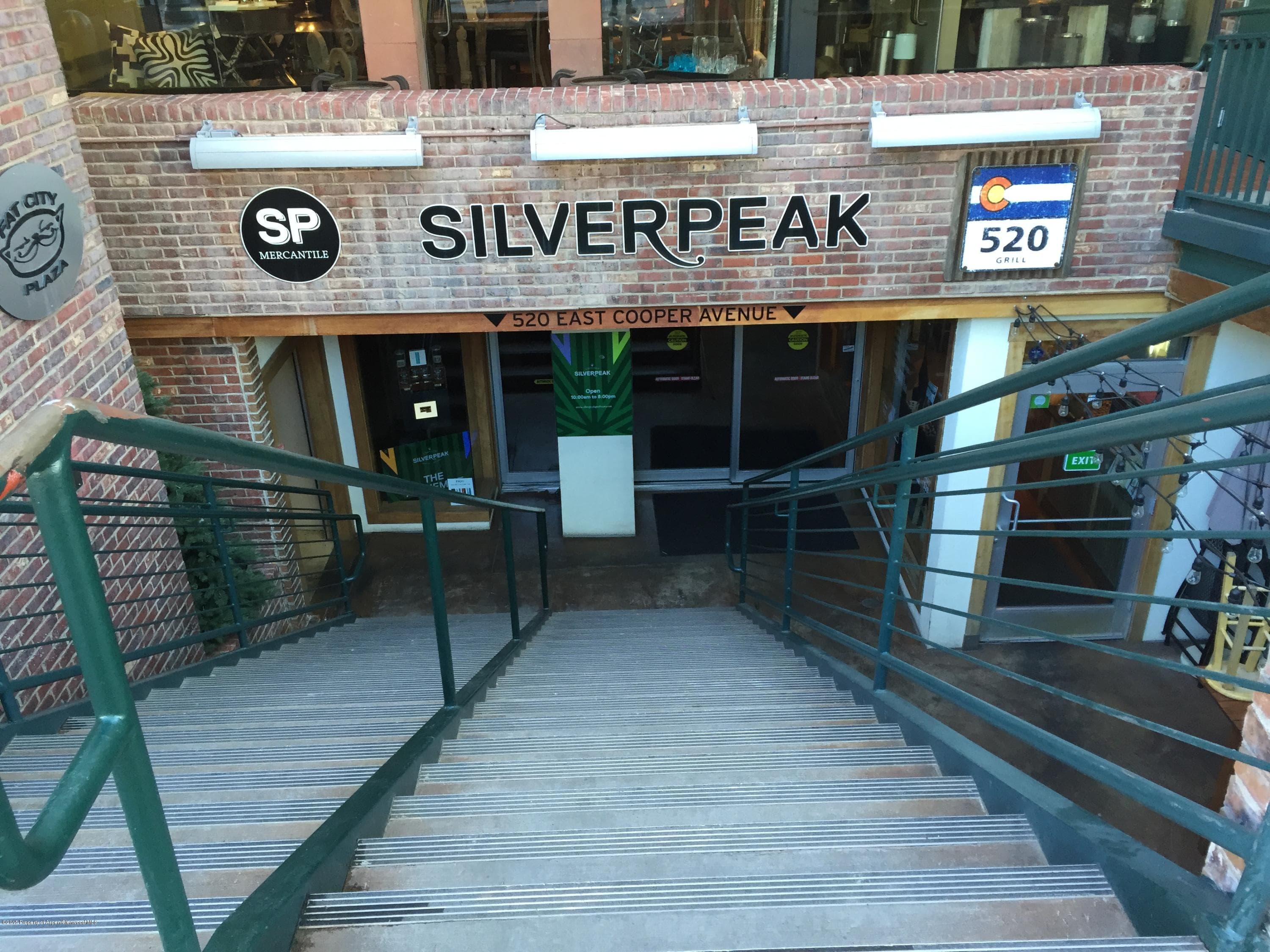520 E Cooper Avenue Rb-1, Aspen, CO 81611 - Photo 14