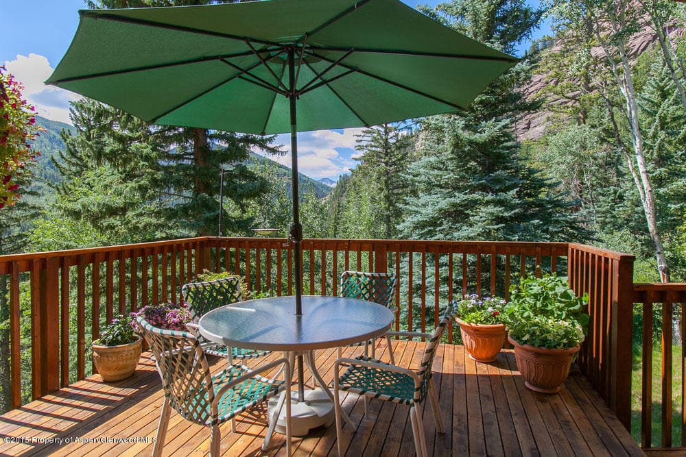 564 Crystal Park Drive, Redstone, CO 81623 - Photo 3