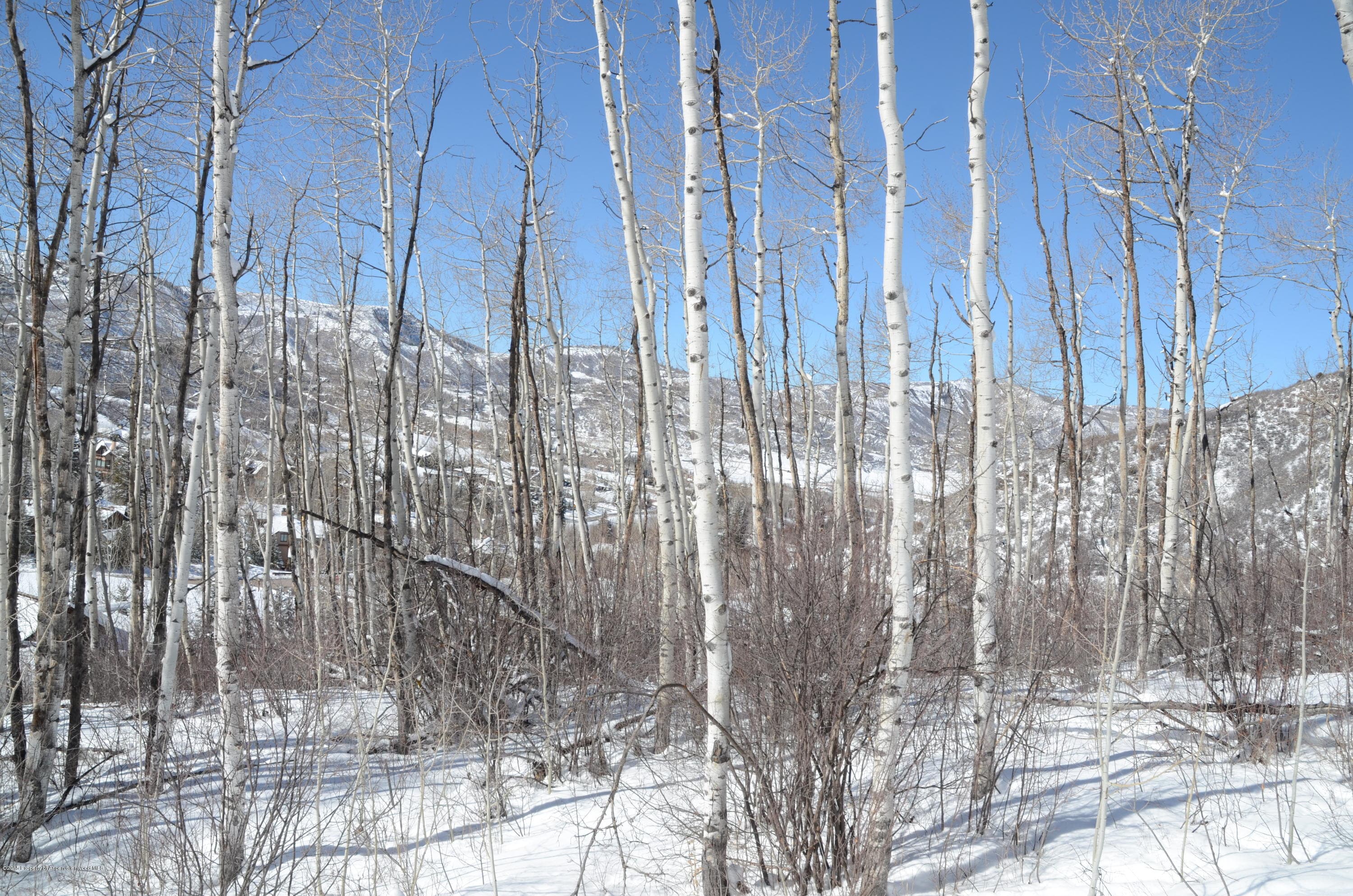 270 Spruce Ridge Lane, Snowmass Village, CO 81615 - Photo 2
