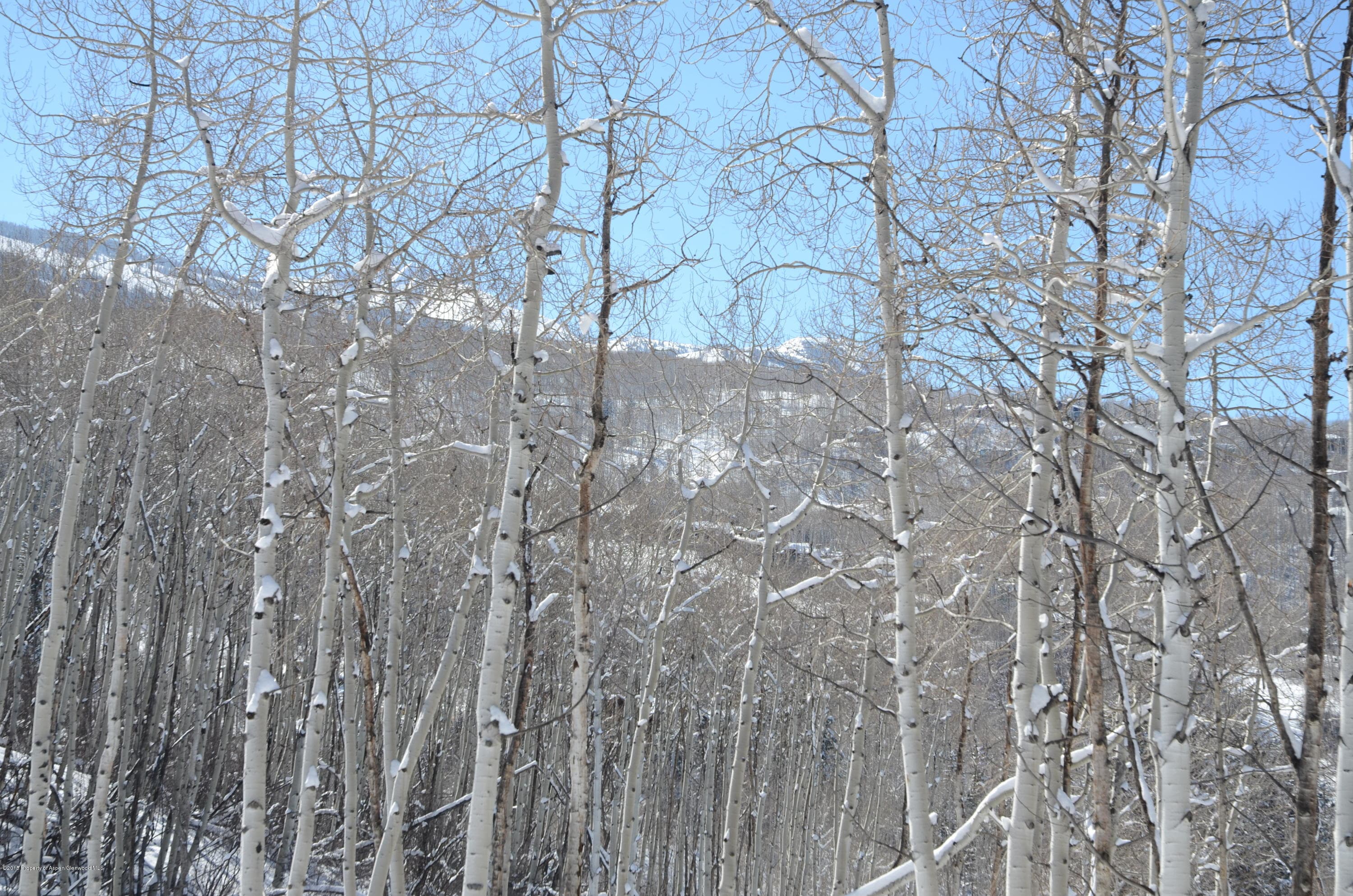 270 Spruce Ridge Lane, Snowmass Village, CO 81615 - Photo 4
