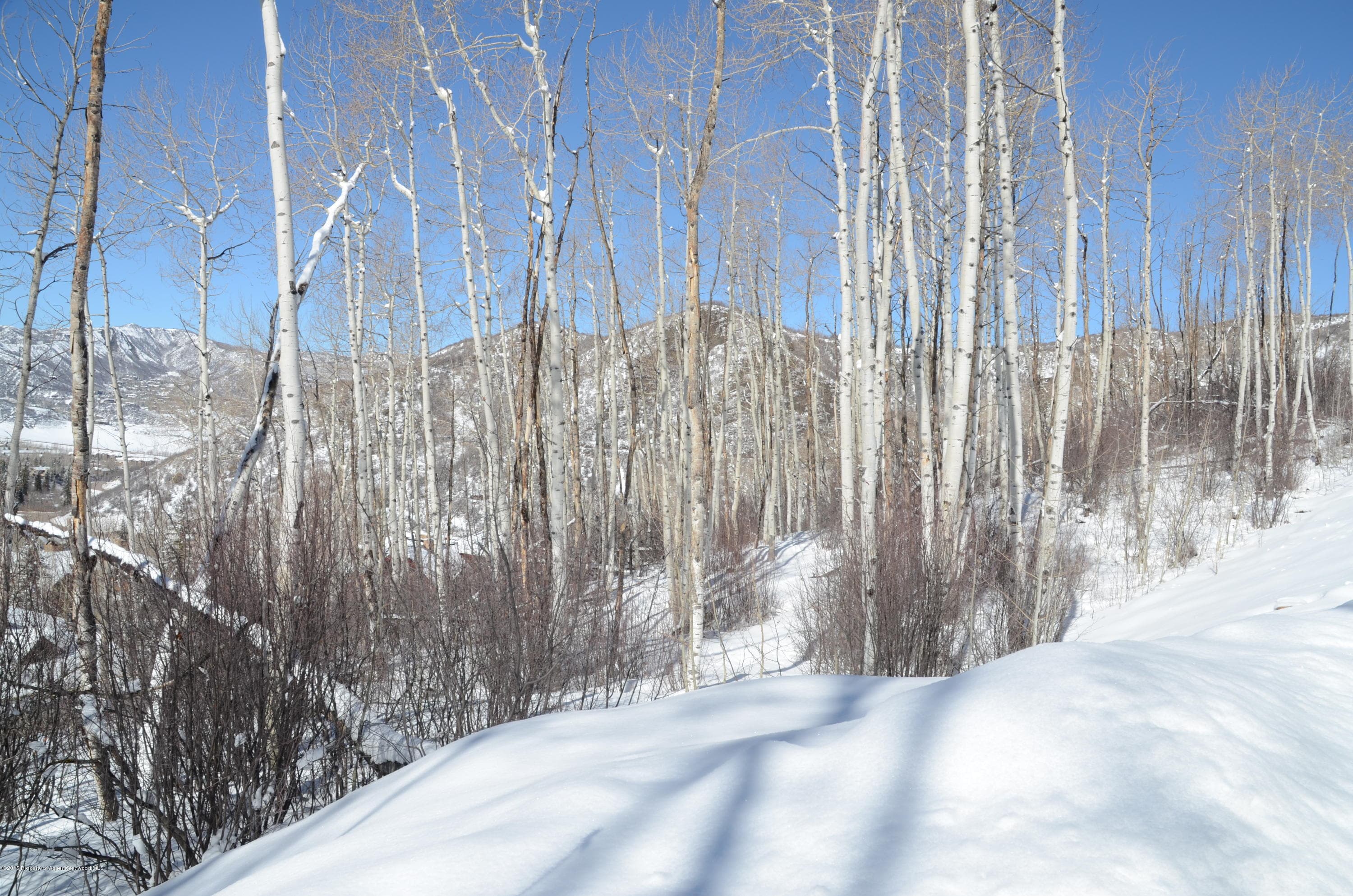 270 Spruce Ridge Lane, Snowmass Village, CO 81615 - Photo 5