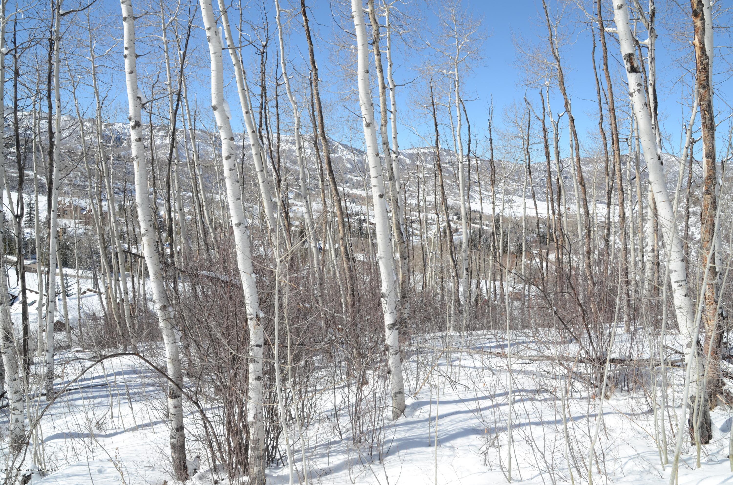 270 Spruce Ridge Lane, Snowmass Village, CO 81615 - Photo 7