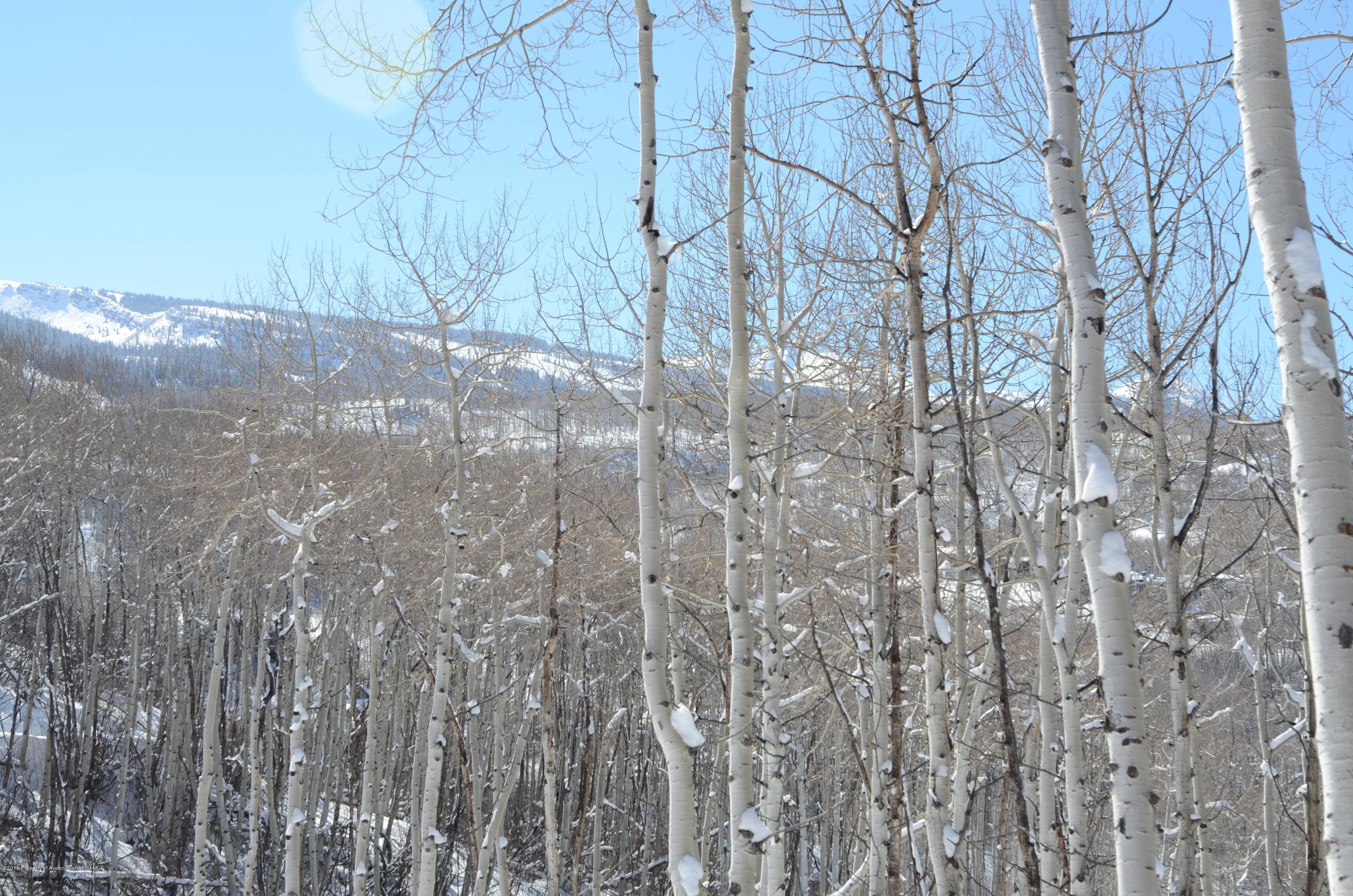 270 Spruce Ridge Lane, Snowmass Village, CO 81615 - Photo 8