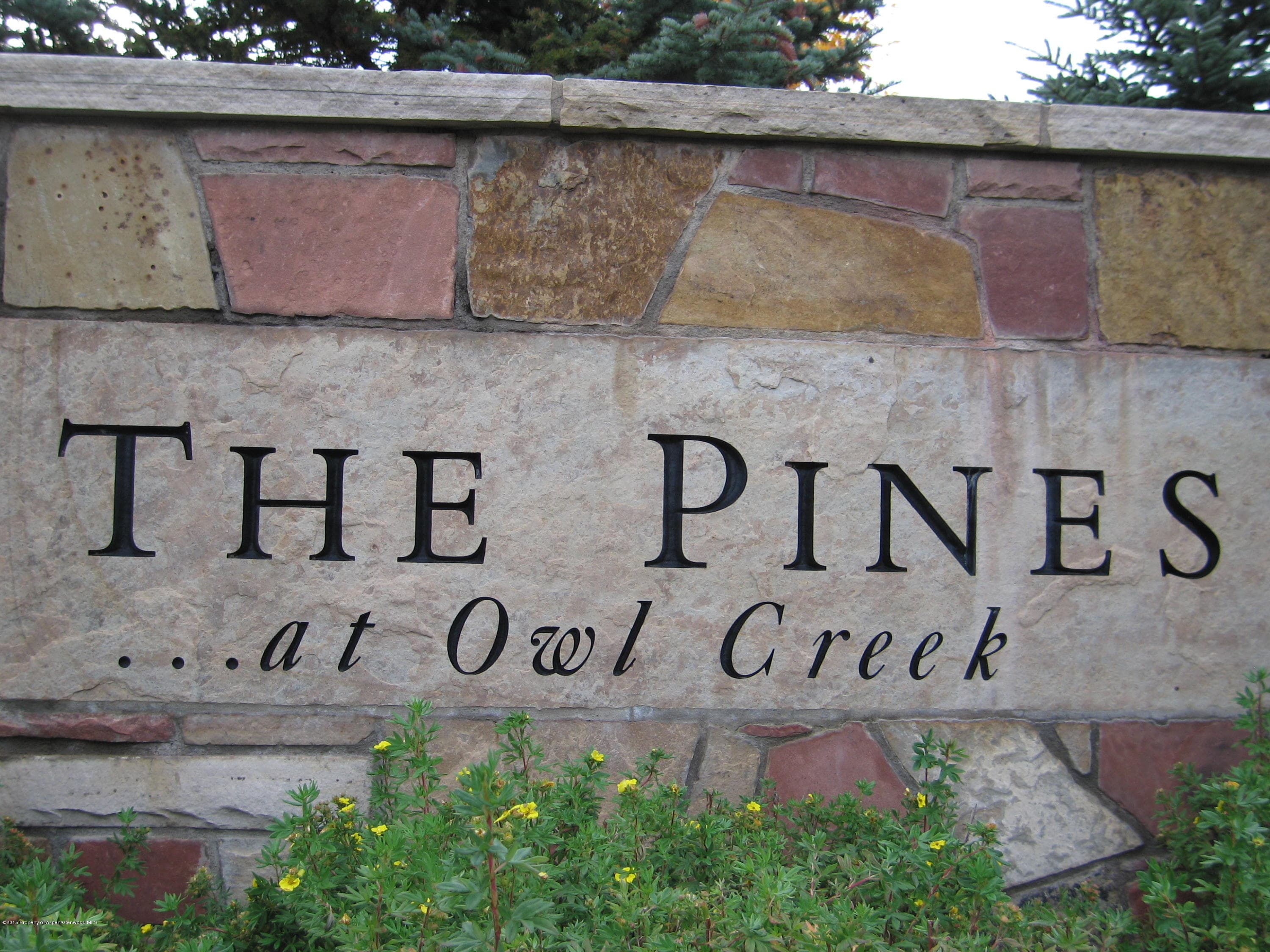 270 Spruce Ridge Lane, Snowmass Village, CO 81615 - Photo 10
