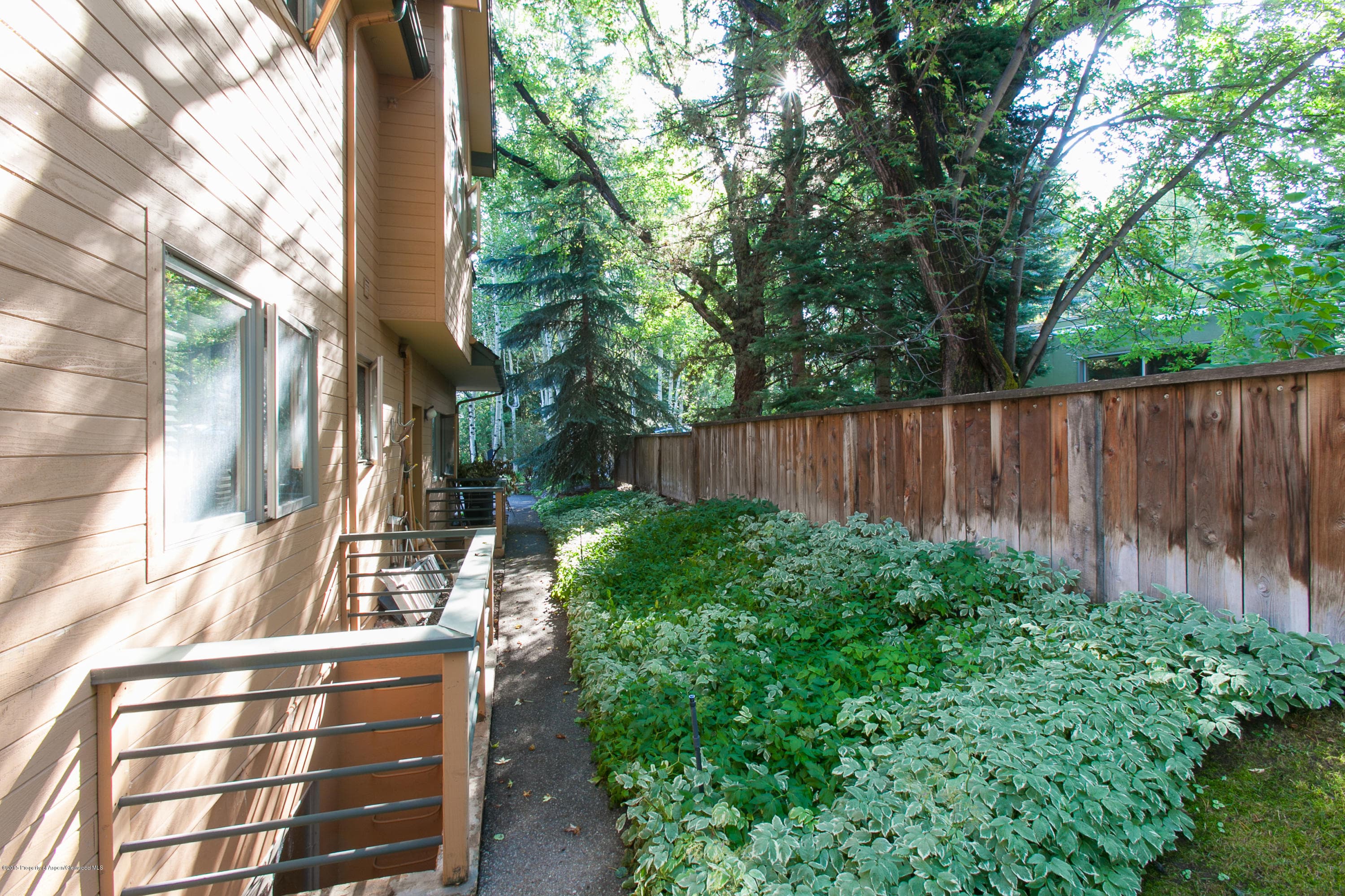 725 Castle Creek, Aspen, CO 81611 - Photo 19