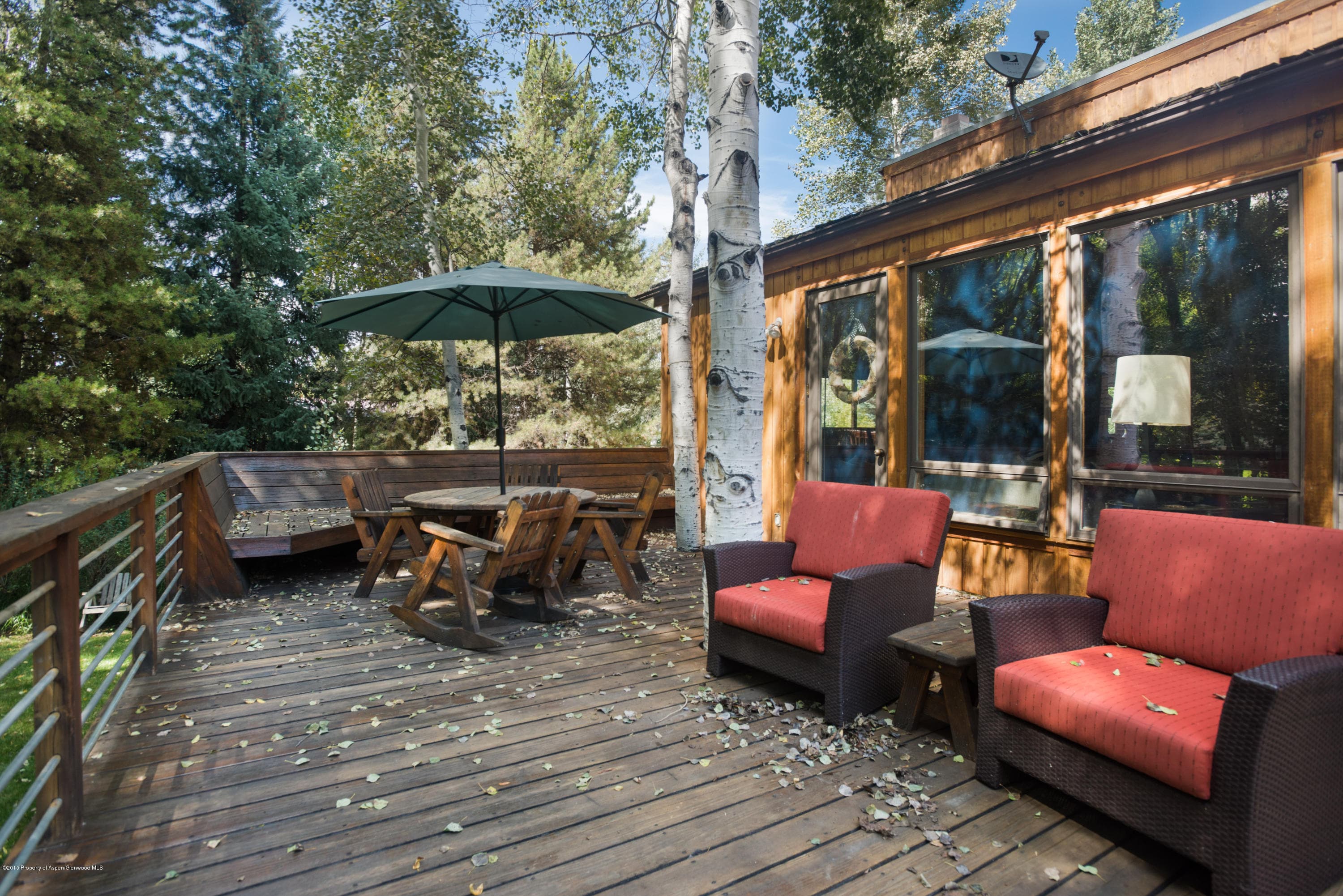 945 Cemetery Lane, Aspen, CO 81611 - Photo 15