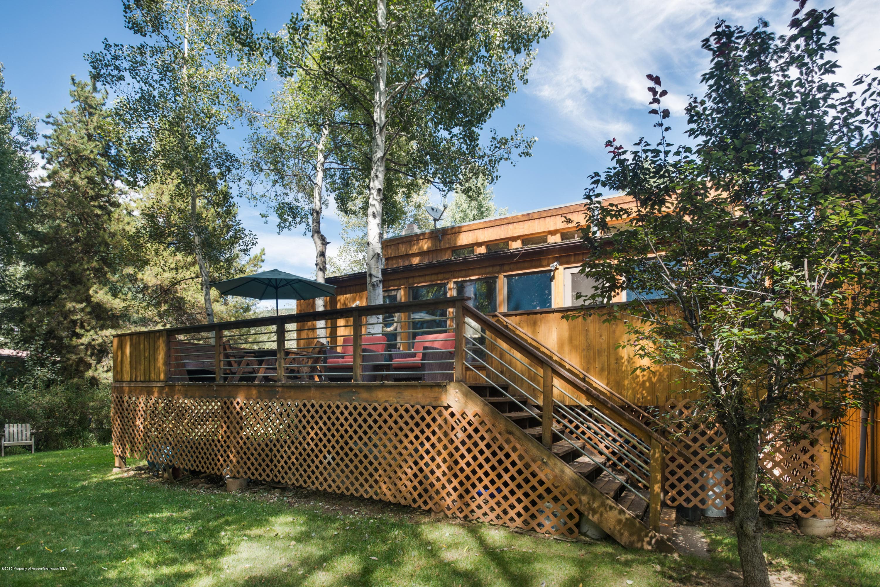 945 Cemetery Lane, Aspen, CO 81611 - Photo 18