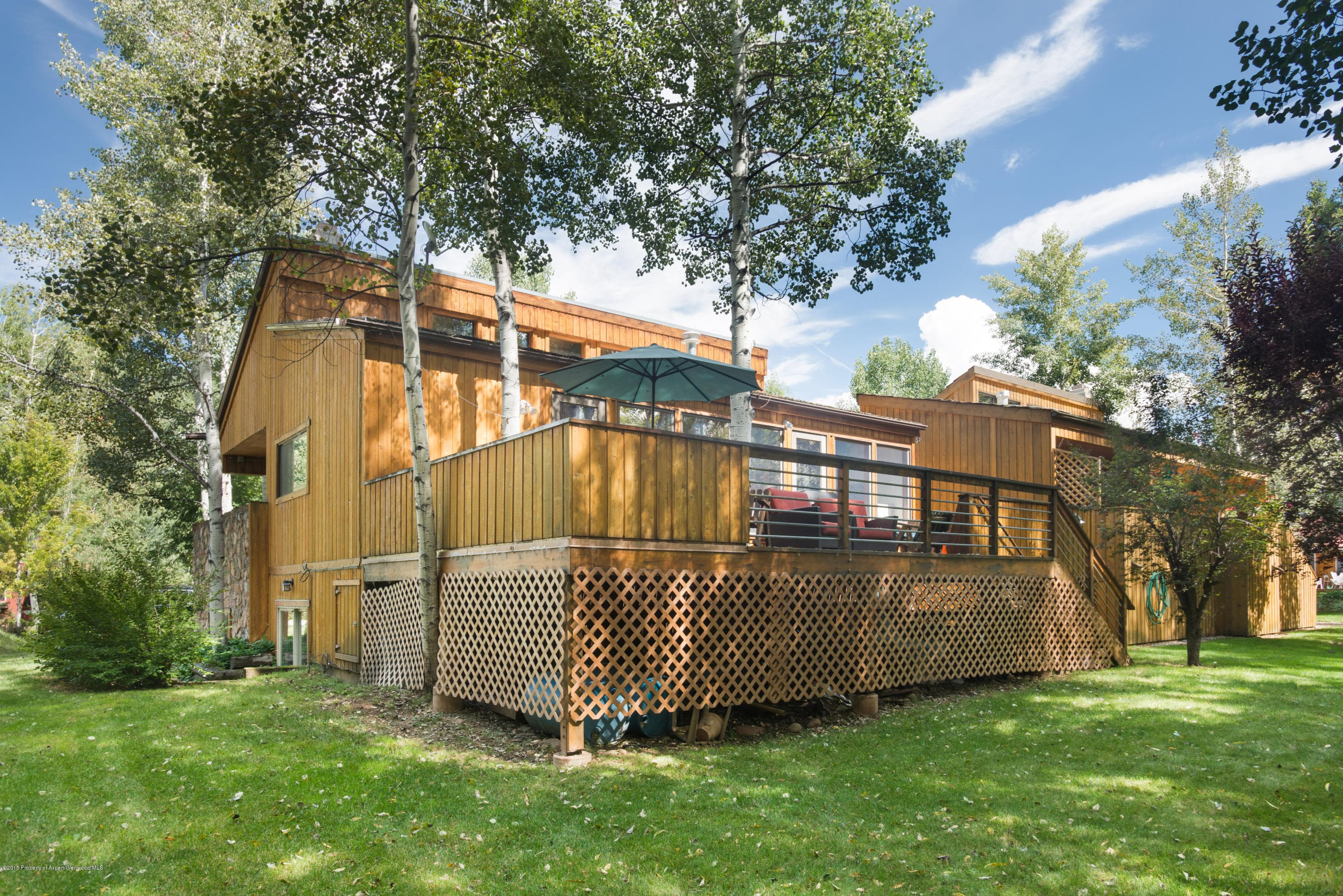 945 Cemetery Lane, Aspen, CO 81611 - Photo 19
