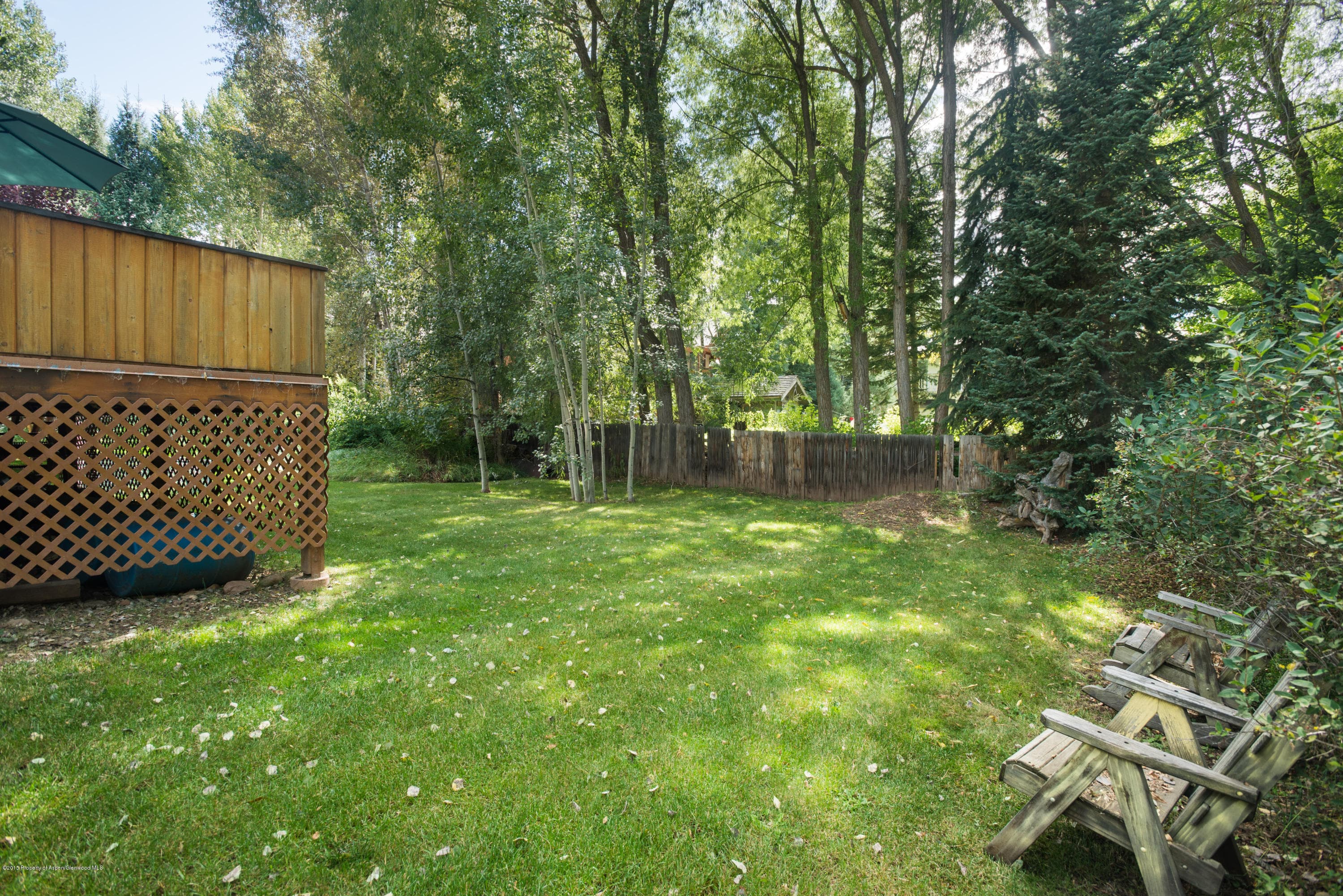 945 Cemetery Lane, Aspen, CO 81611 - Photo 21