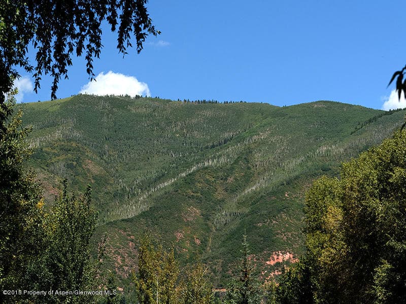 Tbd Smuggler Street, Aspen, CO 81611 - Photo 17
