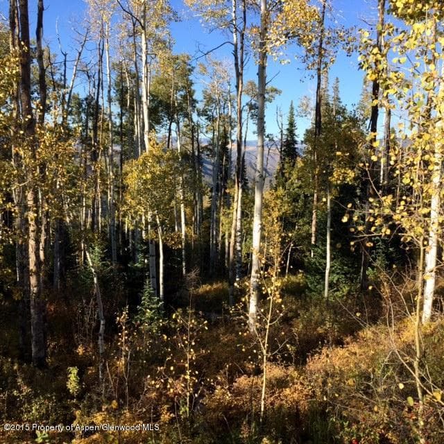 1951 Faraway Road, Snowmass Village, CO 81615 - Photo 23