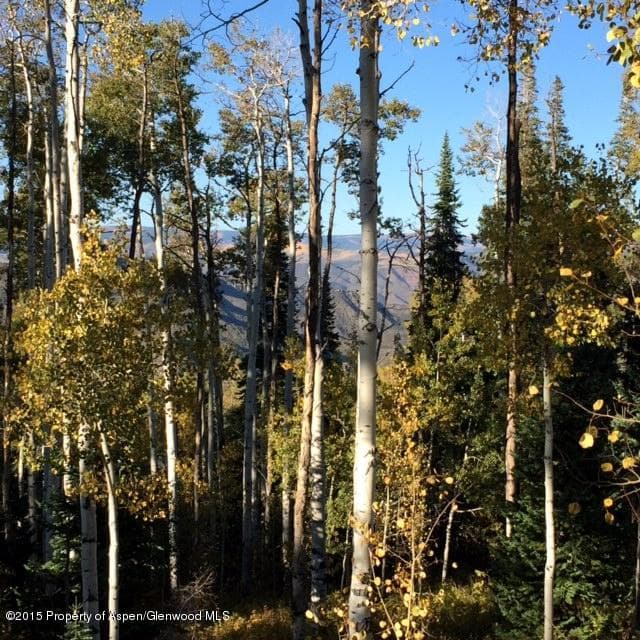 1951 Faraway Road, Snowmass Village, CO 81615 - Photo 24