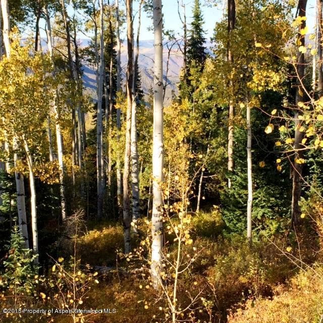1951 Faraway Road, Snowmass Village, CO 81615 - Photo 22